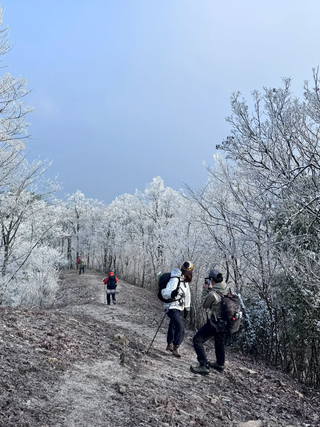 龙王山我又回来了