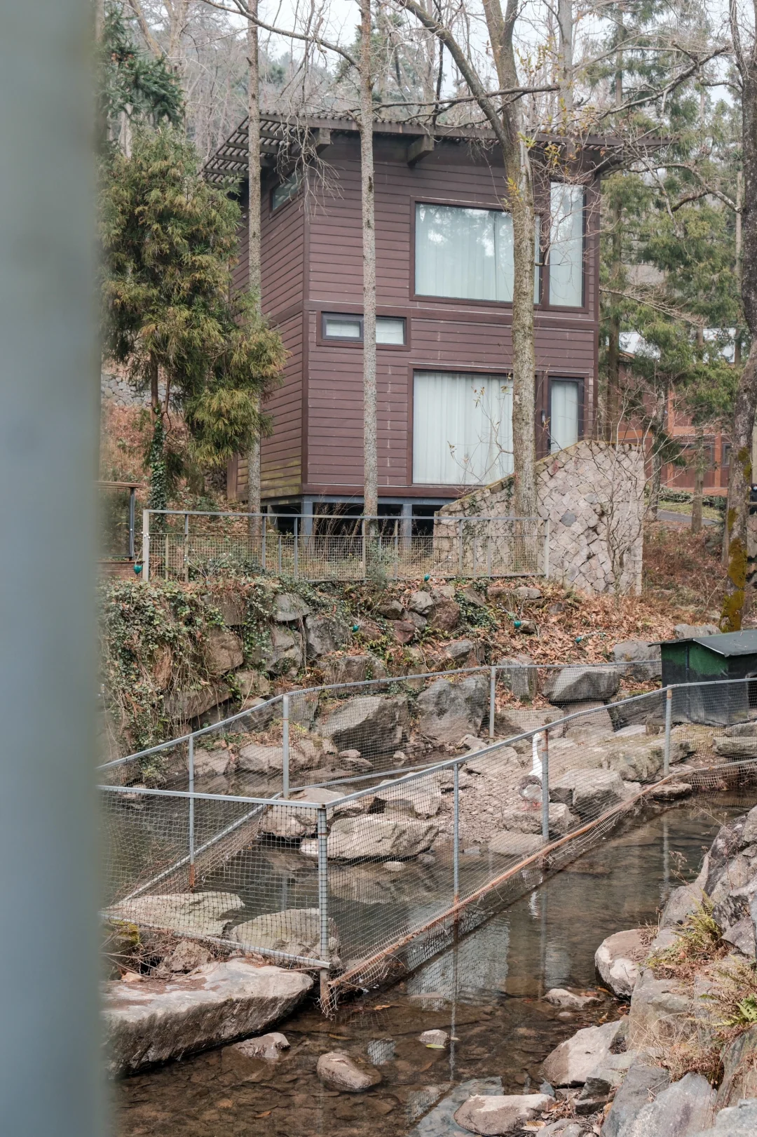 宁波，自然谧境，心归森野✧*｡🌳🌳🌳