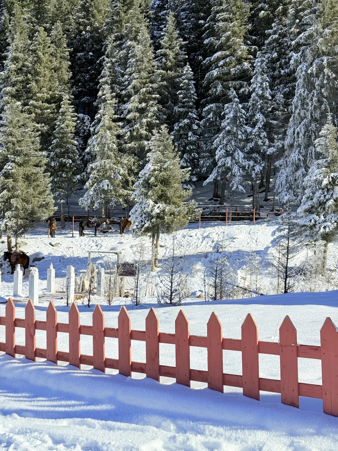 乌市周边游|1h车程的庙尔沟绝美蓝冰瀑布!