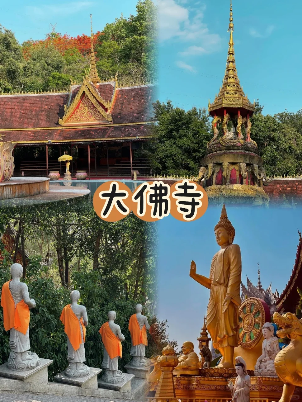 西双版纳5日游懒人版路线‼️不走冤枉路