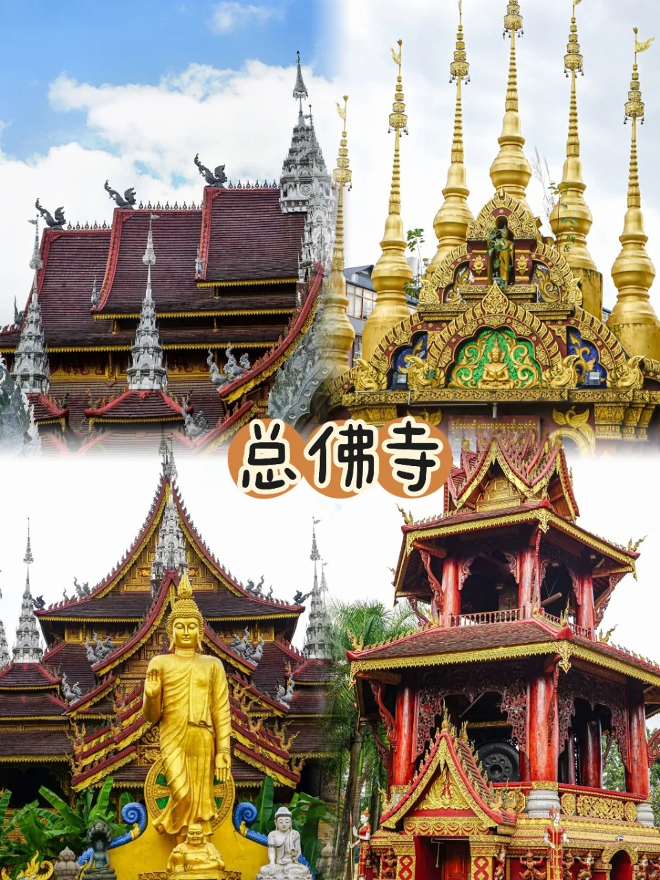 西双版纳5日游懒人版路线‼️不走冤枉路