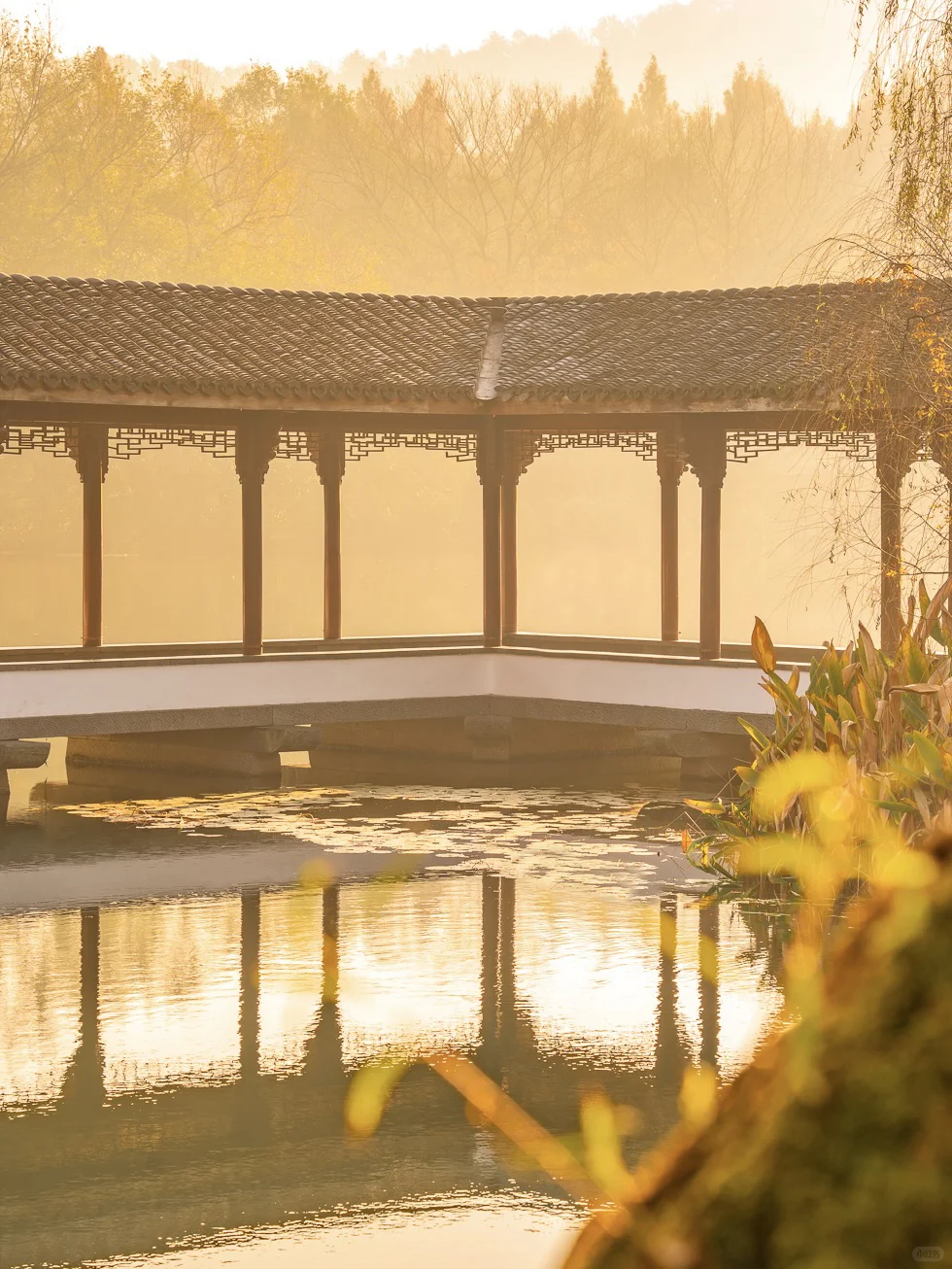 紧邻西湖‼️本地人都爱逛的小众赏秋公园!🍁