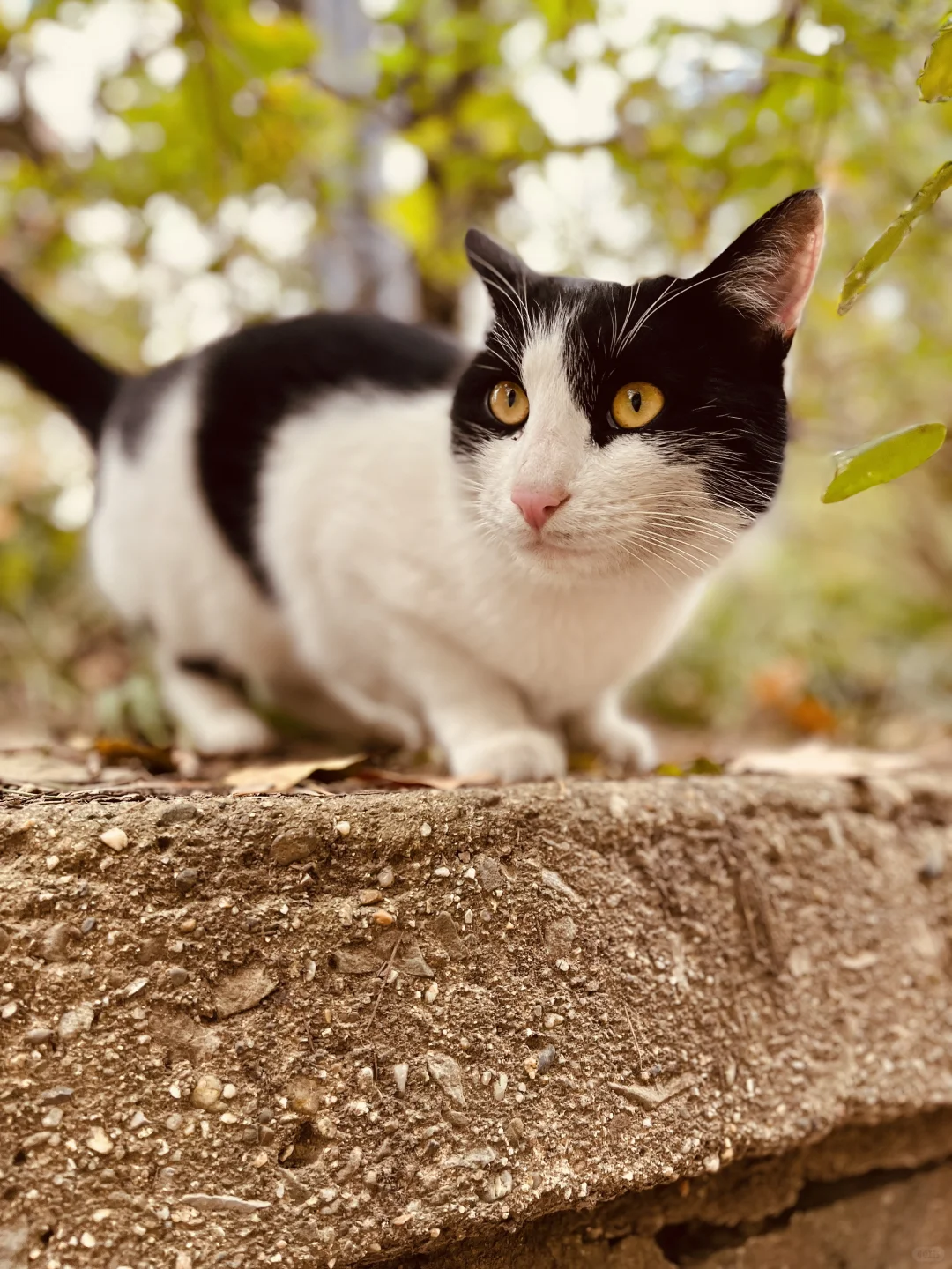 藏在雨花台景区里无人知晓的超绝机位!