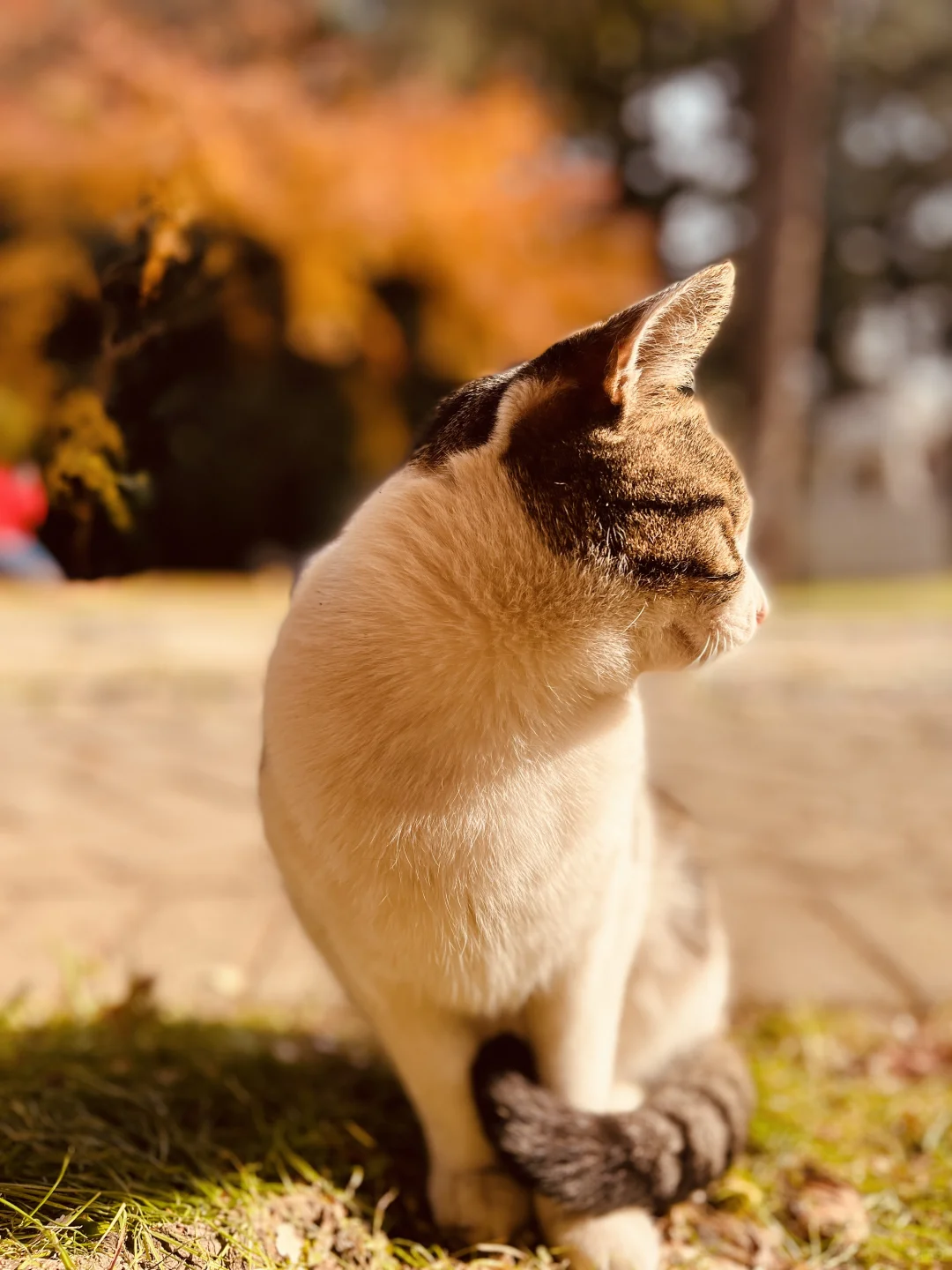 藏在雨花台景区里无人知晓的超绝机位!