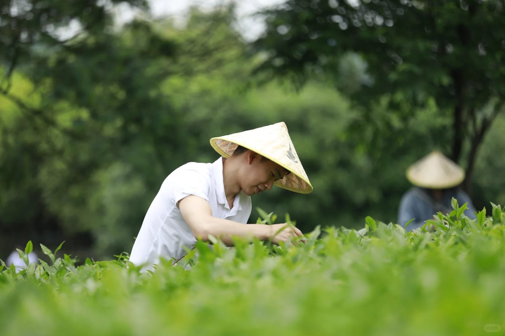 遵义湄潭茶海：拓展新天地，团队共成长