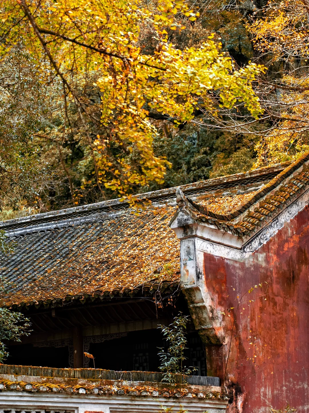 贵州怎么不宣传这里啊⁉️深山中的明代飞云崖