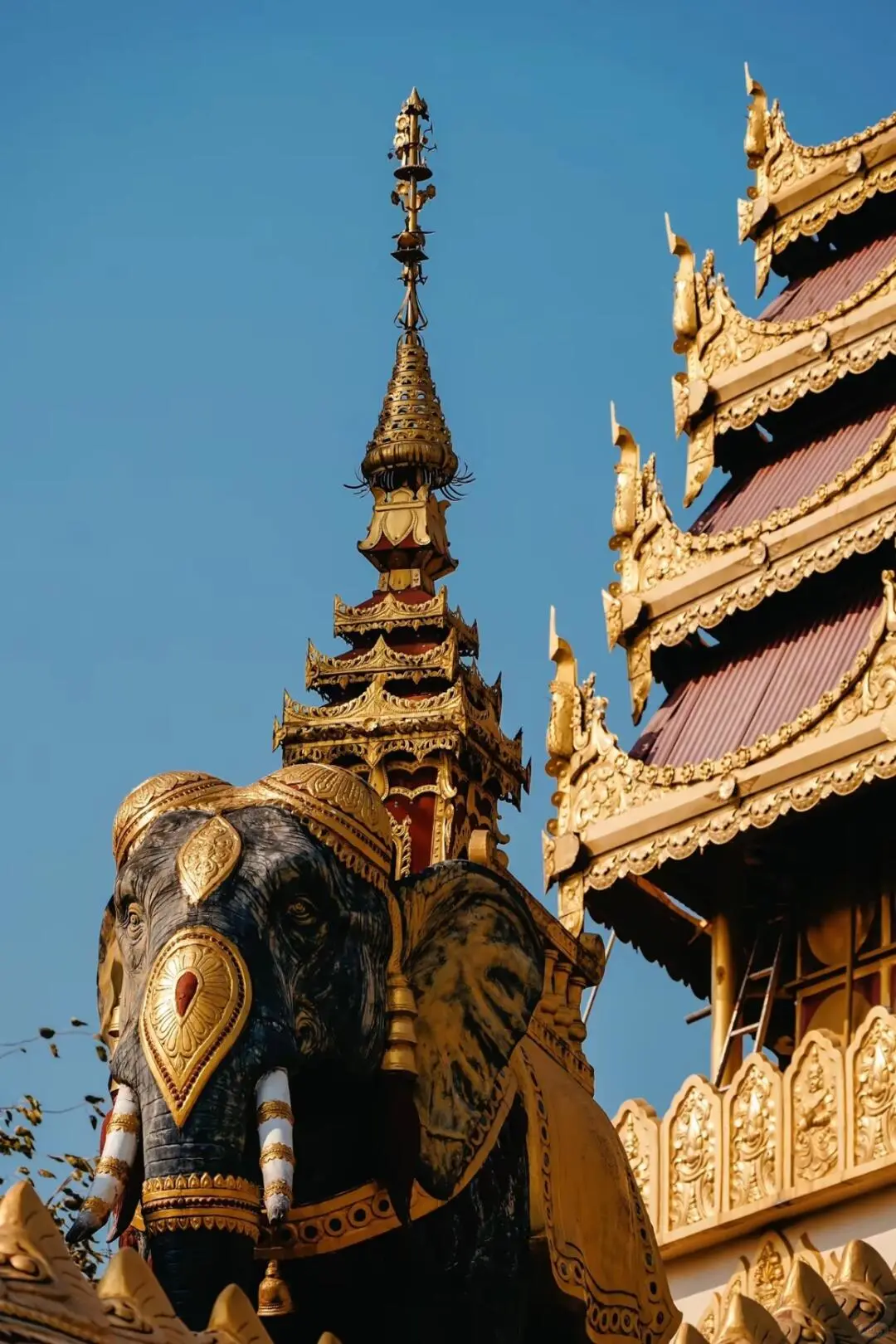 芒市｜想把云南这个边陲小城安利给所有人