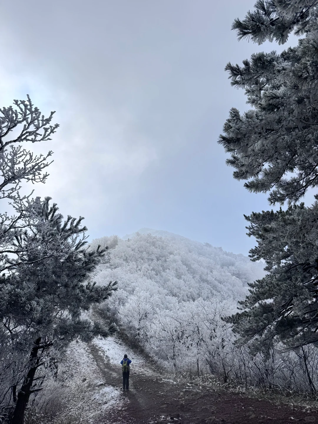 龙王山我又回来了