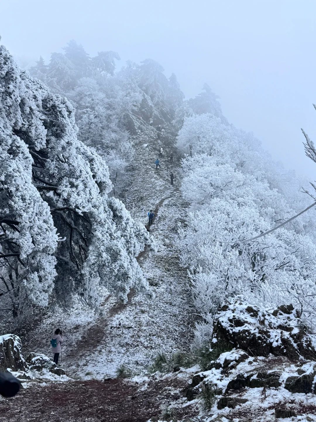 龙王山我又回来了