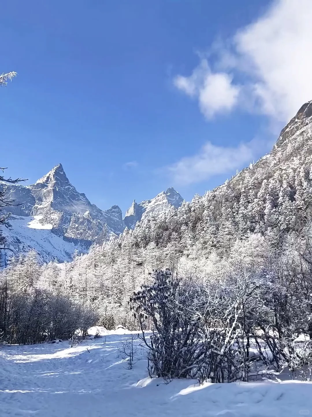 12.17📍毕棚沟现状，近期live，要去的慎重……