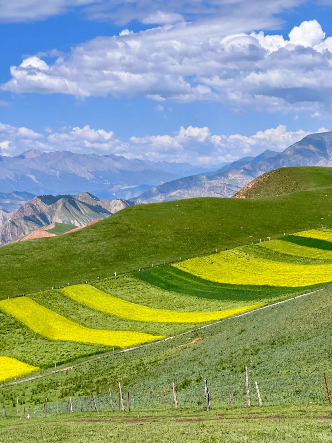 免费的才封神啊‼️青甘线的冷门景点卓尔后山