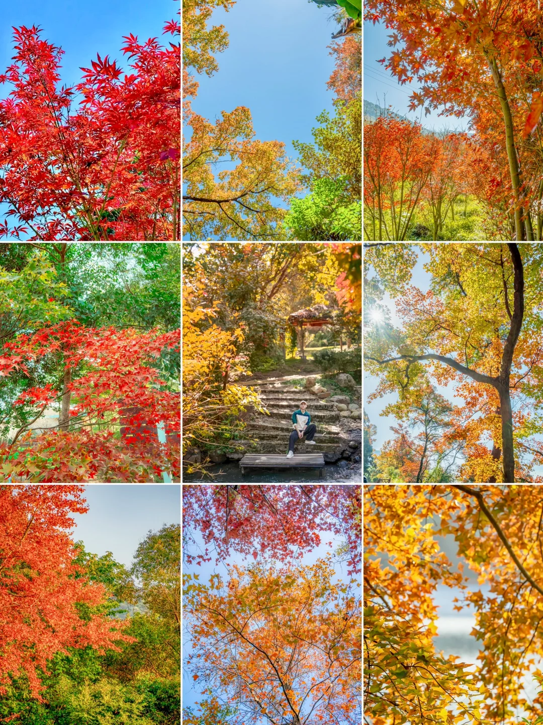 先出发再说｜分享5️⃣个在广州拍枫叶的宝藏地
