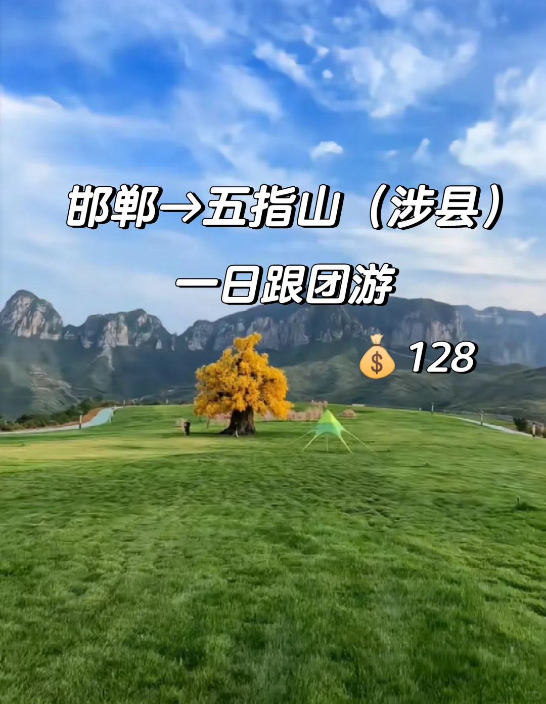 咱邯郸也有空中草原了！到涉县五指山一日游