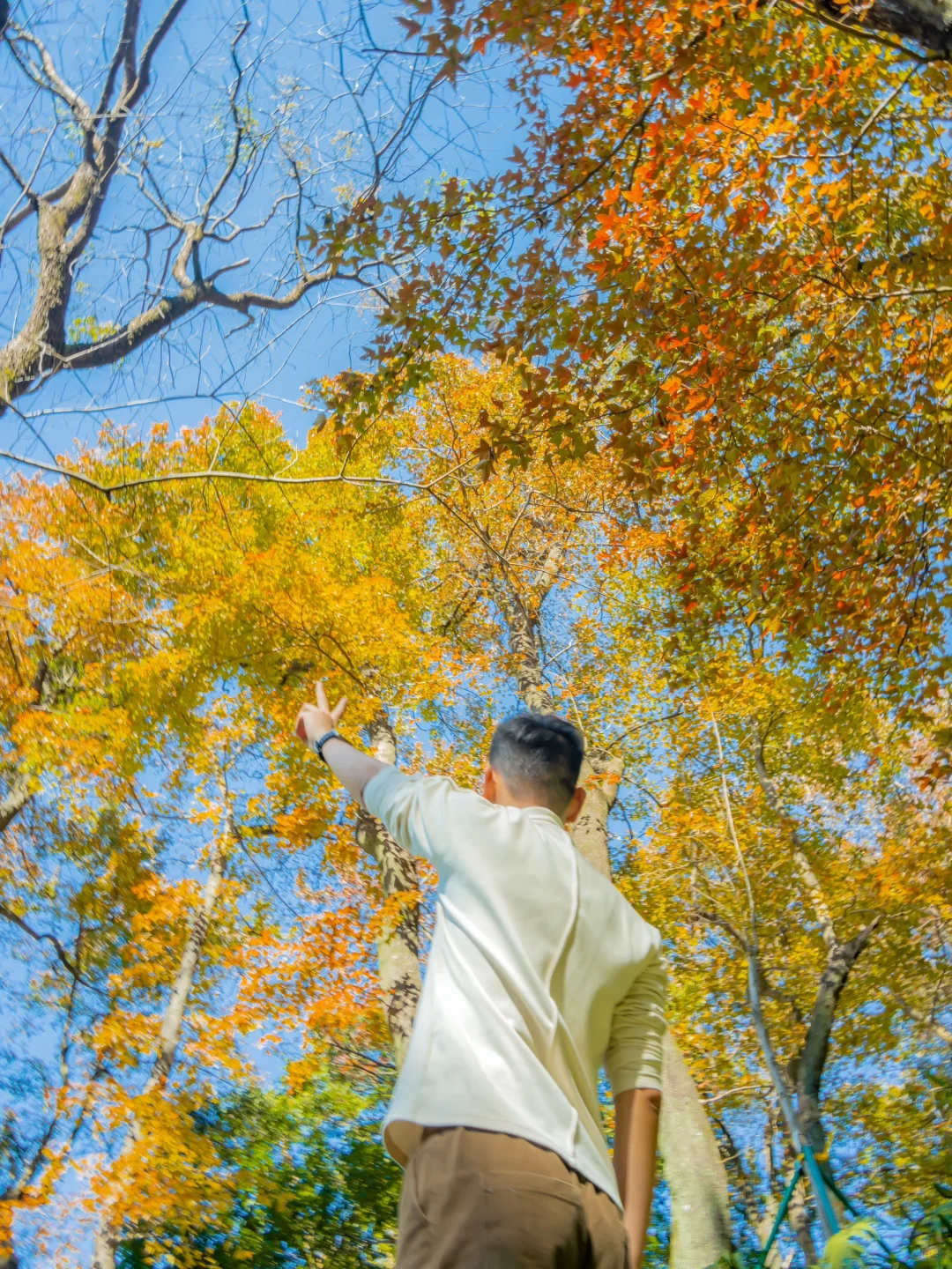 先出发再说｜分享5️⃣个在广州拍枫叶的宝藏地