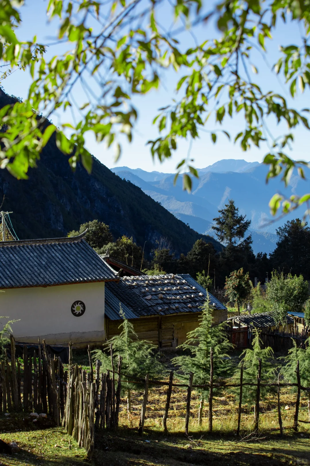 丽江秘境🌿波多罗