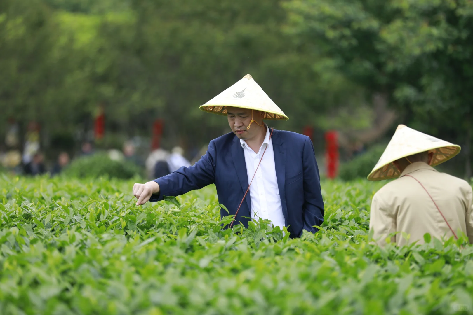 遵义湄潭茶海：拓展新天地，团队共成长
