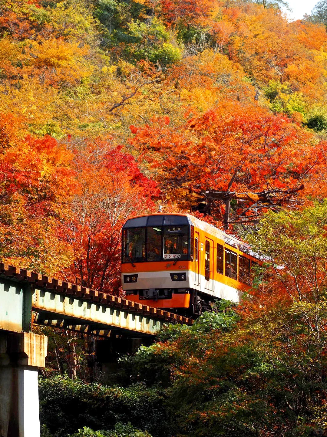 2024京都叡山电车赏枫｜景点路线+交通攻略