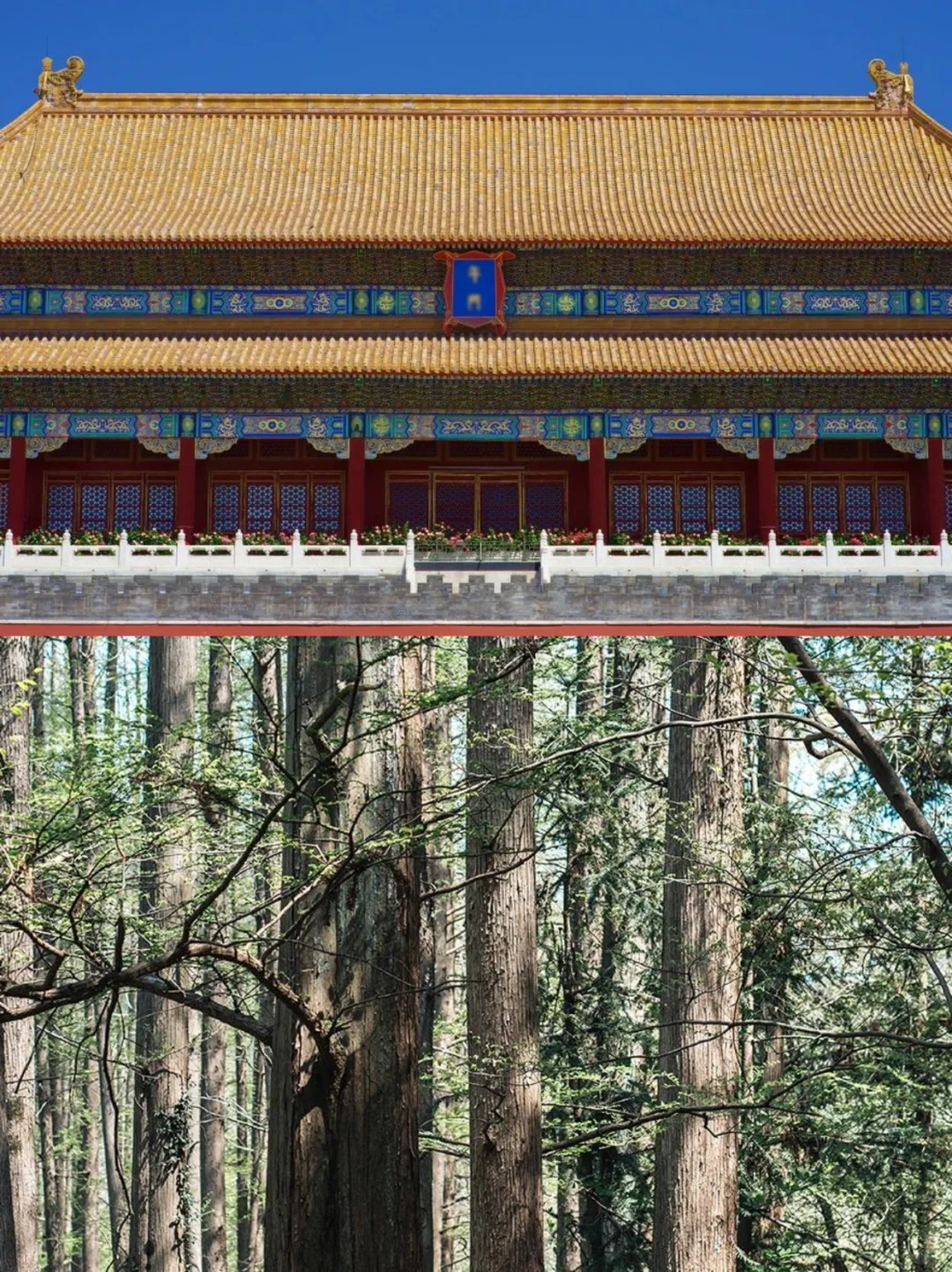 叫爸妈不要在家“秋”腊肉啦!出去耍~