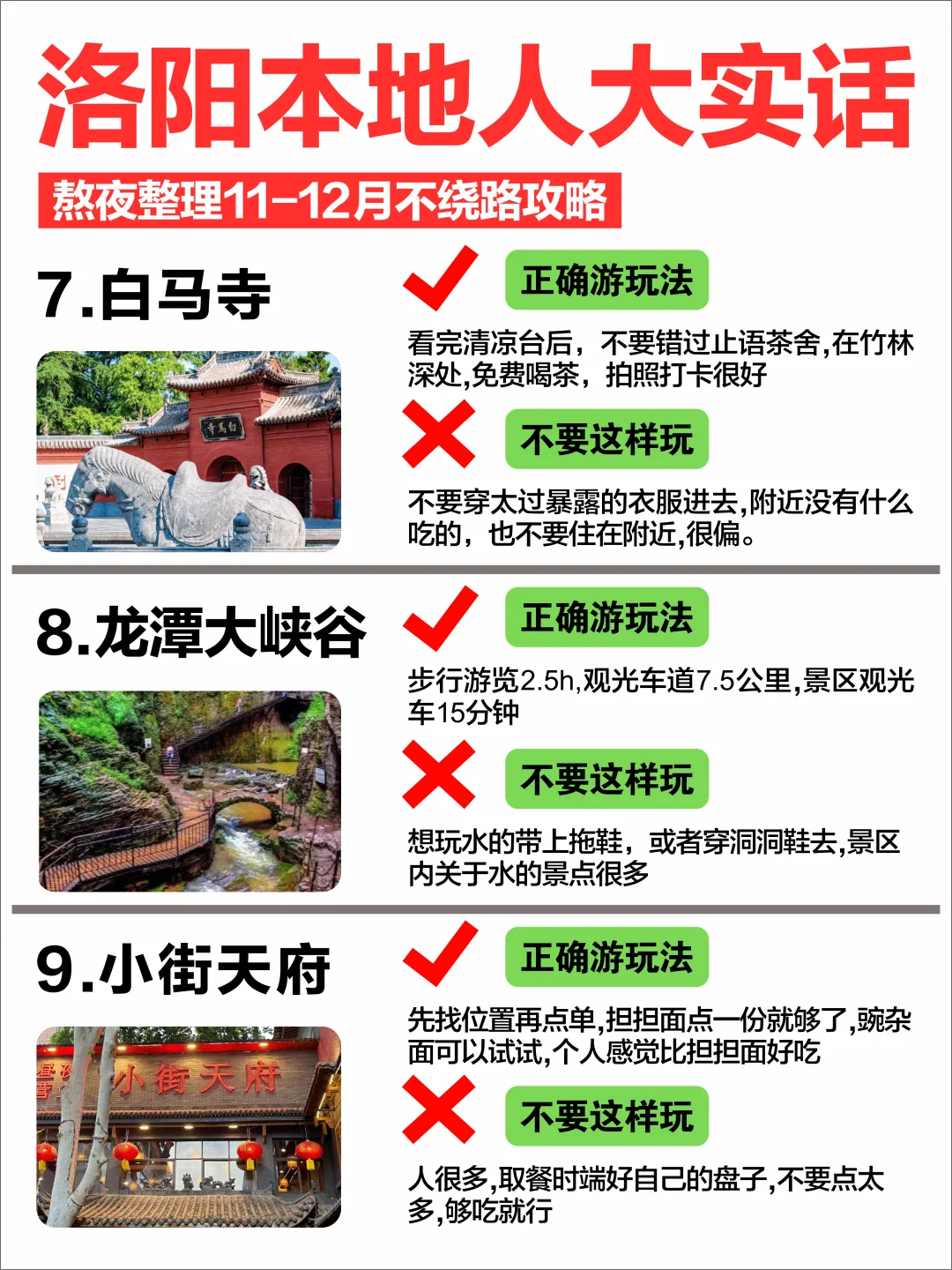 洛阳深度游，11-12🈷️来的姐妹一定要看