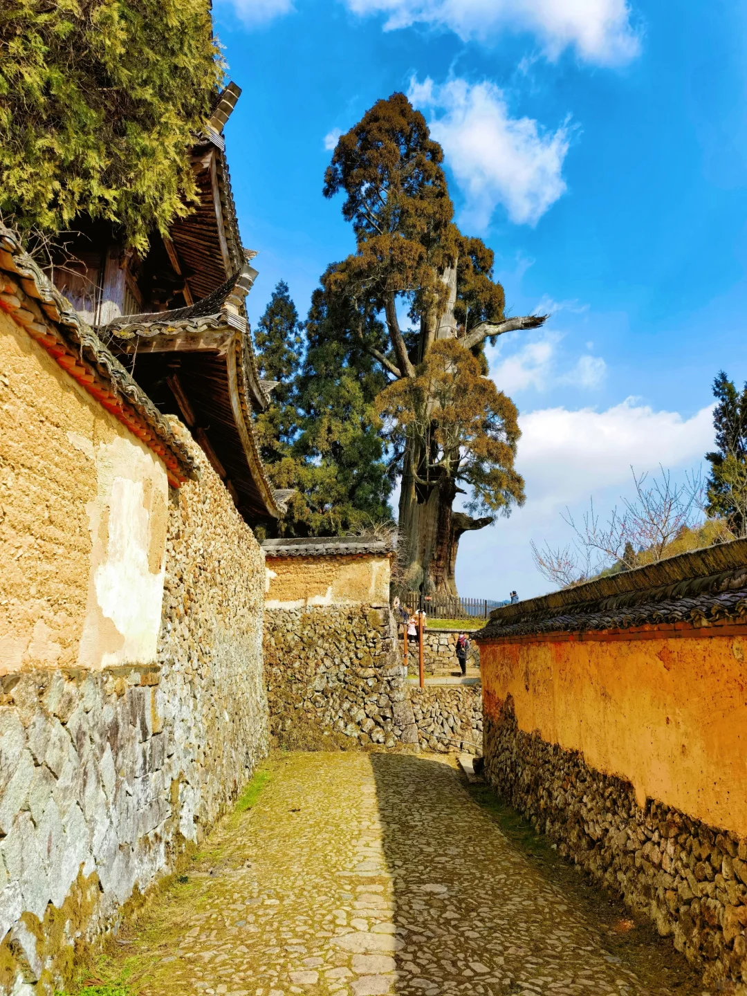 一秒穿越回千年前,我心中浙江最美的古建!