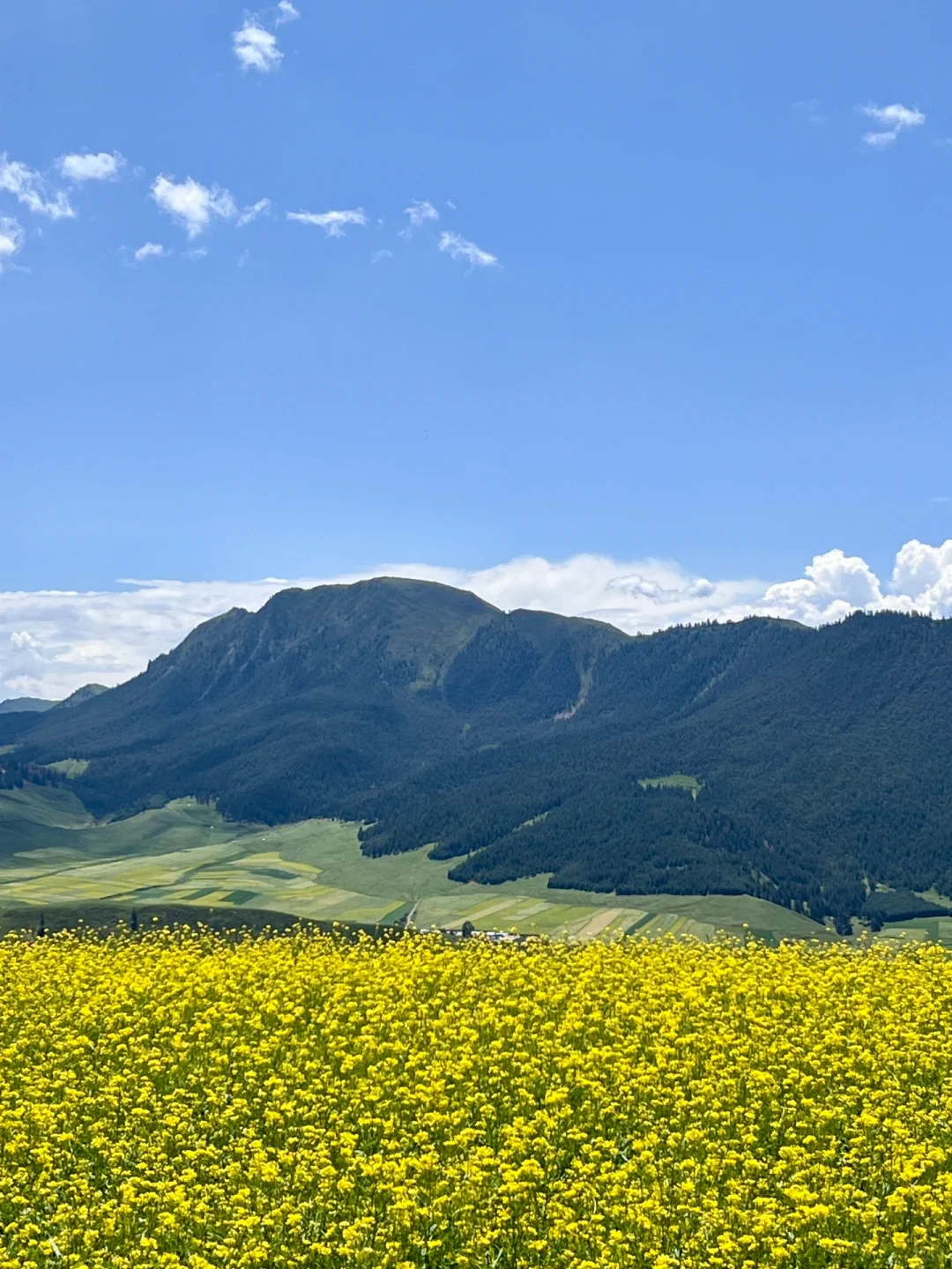 免费的才封神啊‼️青甘线的冷门景点卓尔后山