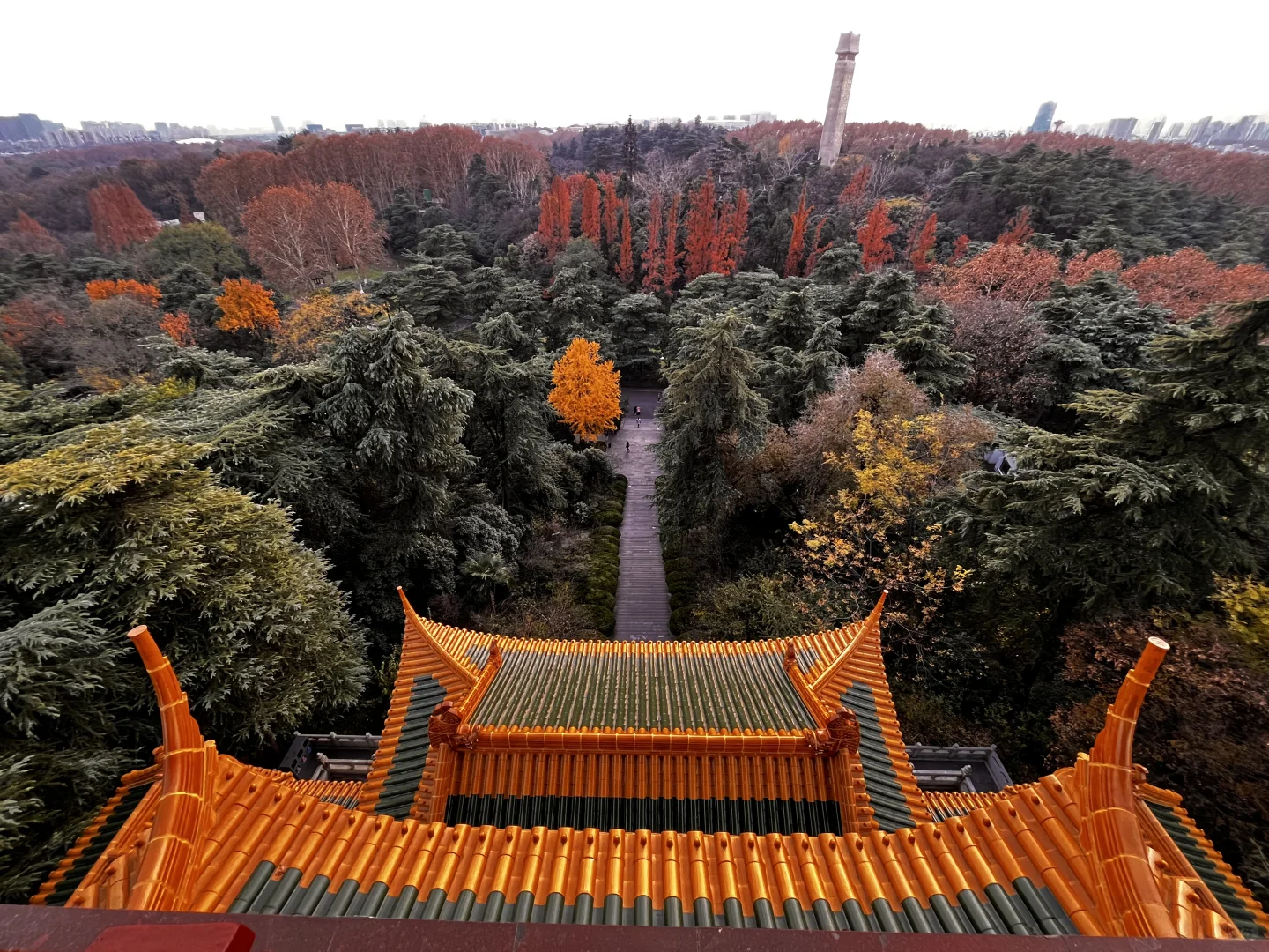 藏在雨花台景区里无人知晓的超绝机位!