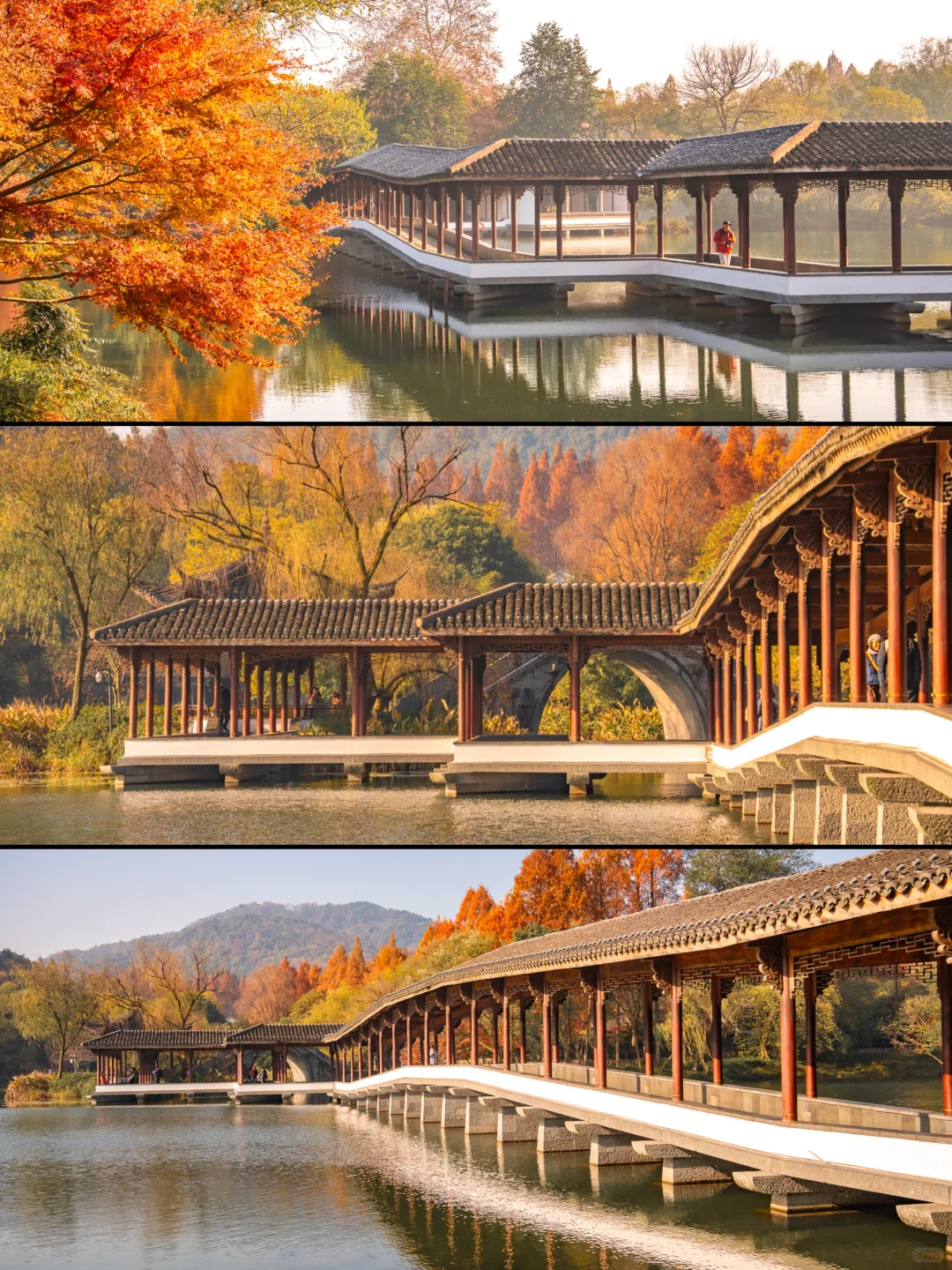 紧邻西湖‼️本地人都爱逛的小众赏秋公园!🍁