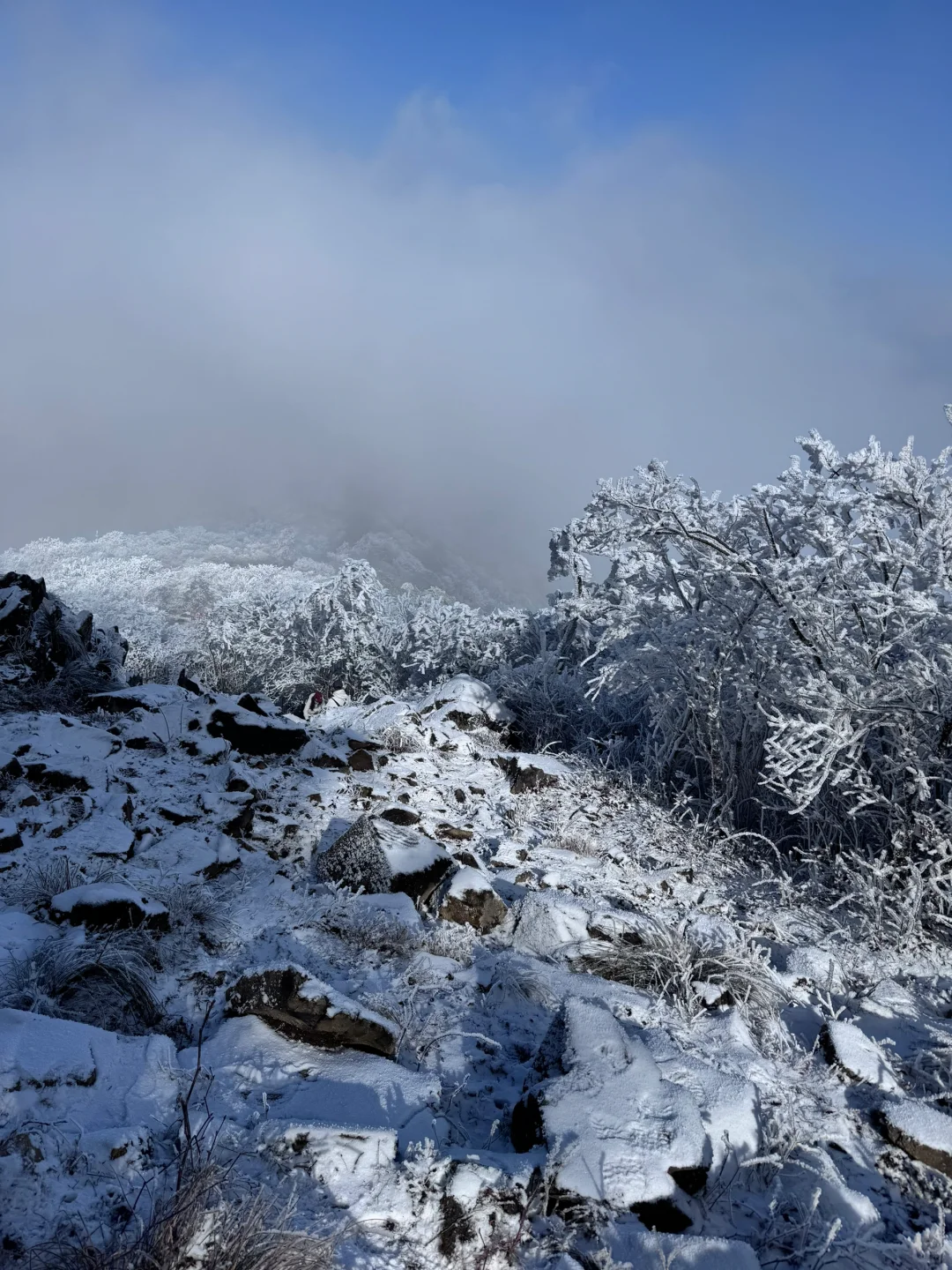 龙王山我又回来了