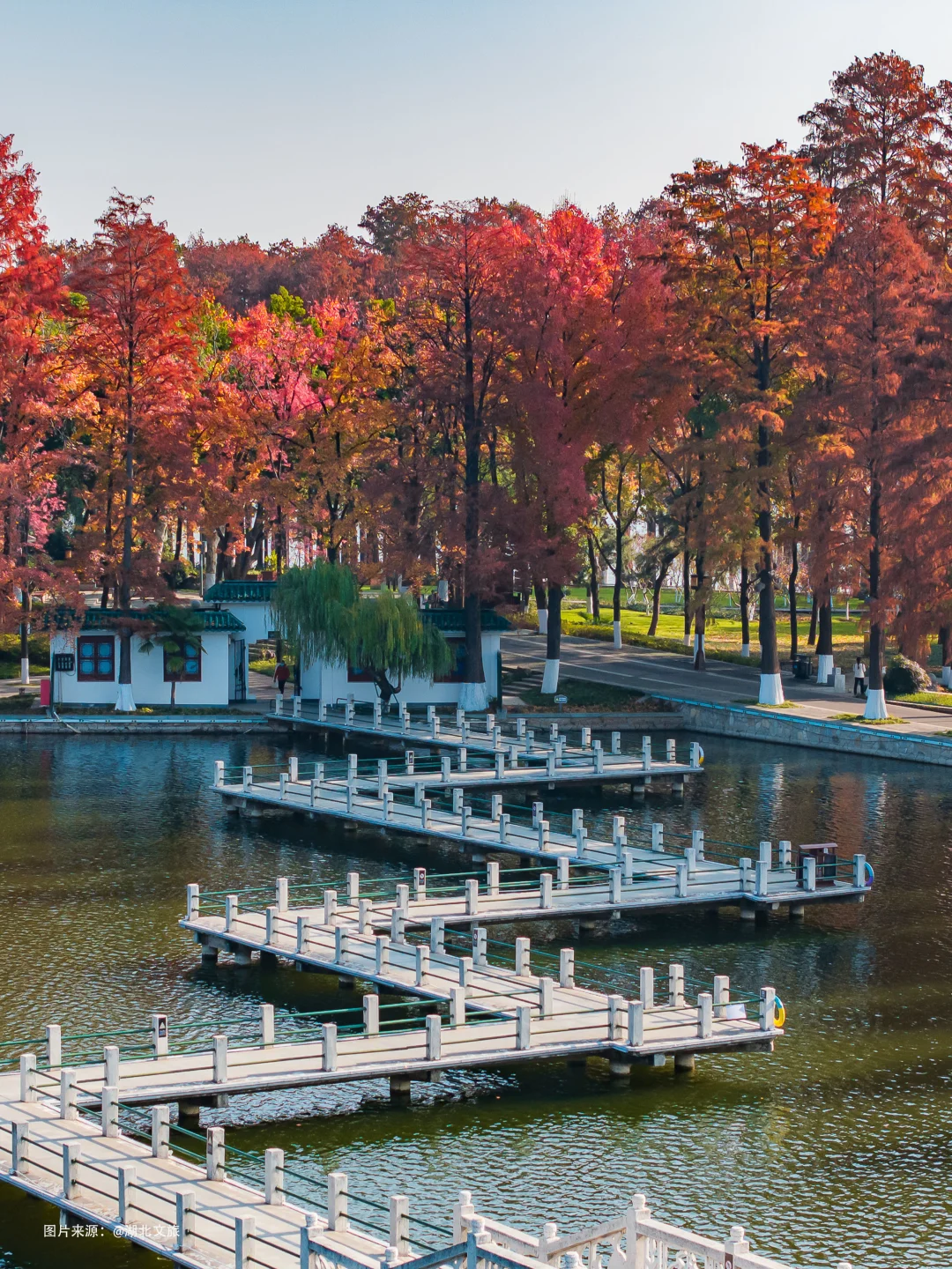 不是照骗❗️12月的武汉东湖美得不像话‼️