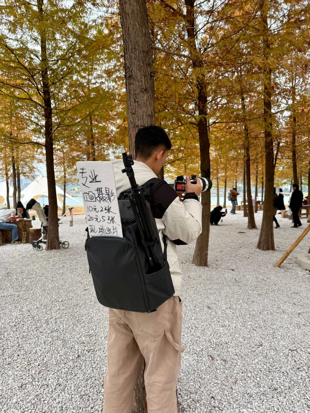 灵龟山落羽杉摄影摆摊！12.17实况！