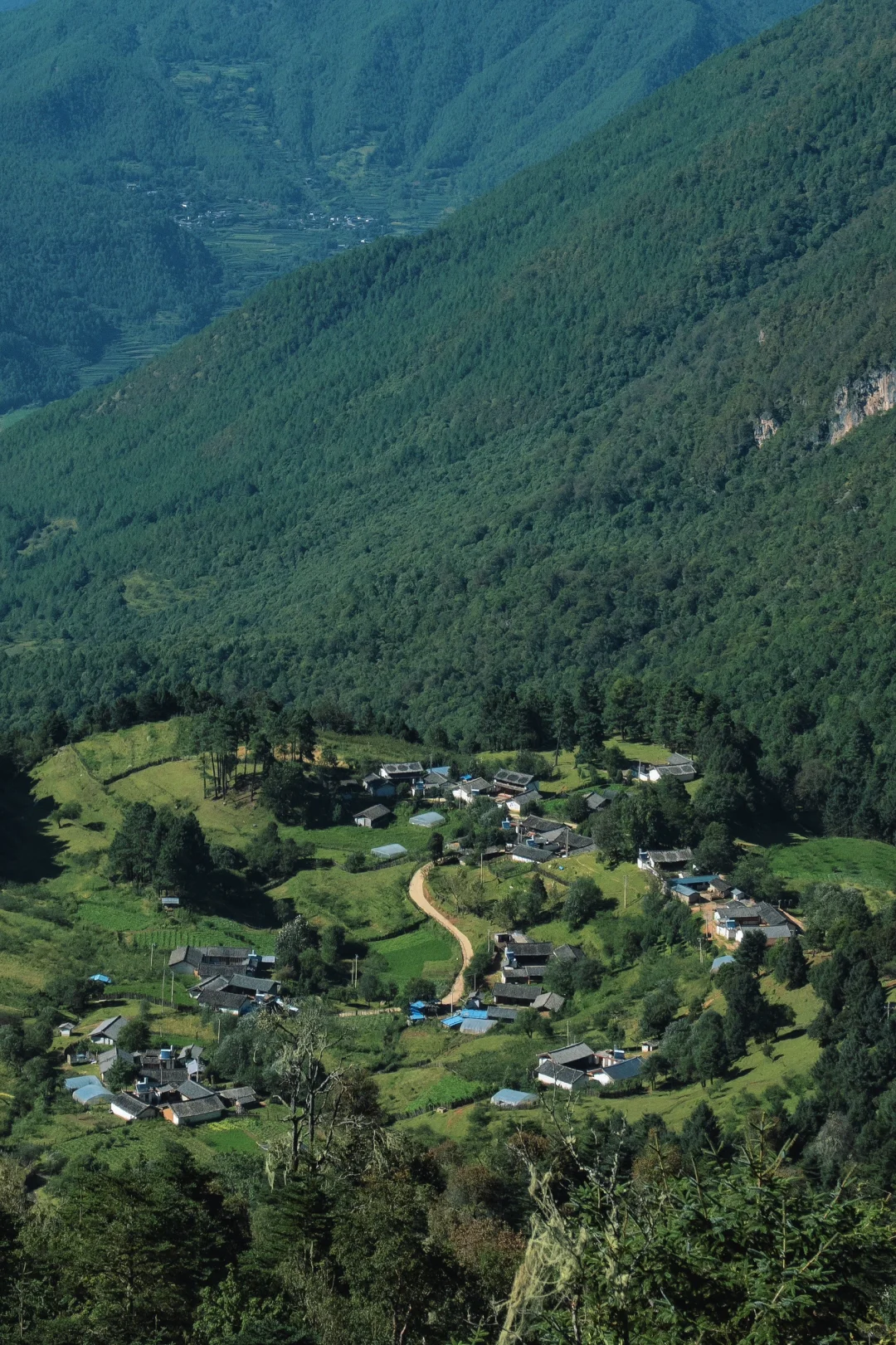 丽江秘境🌿波多罗