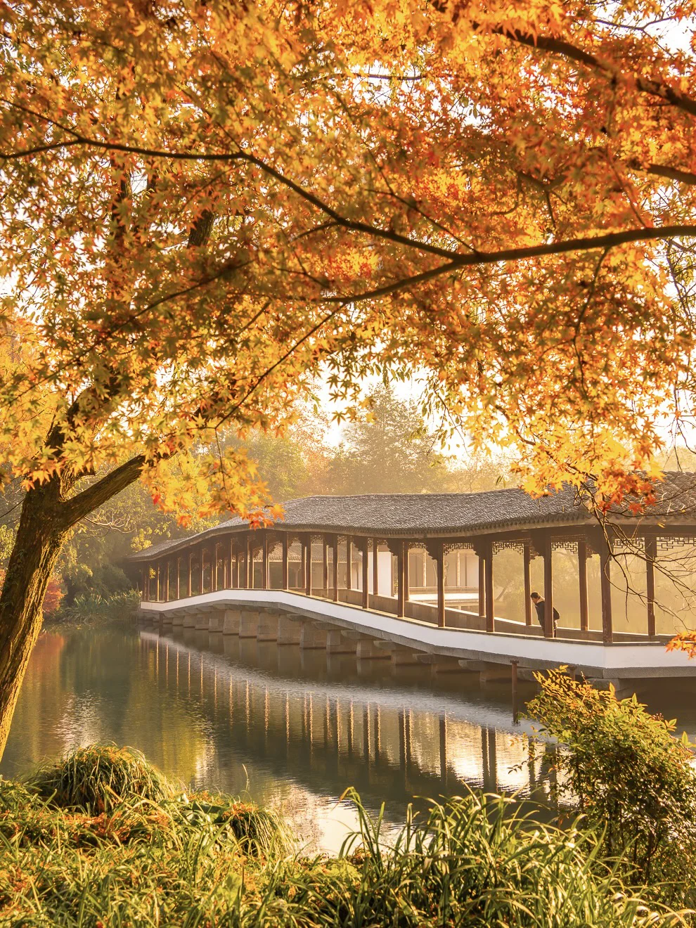 紧邻西湖‼️本地人都爱逛的小众赏秋公园!🍁