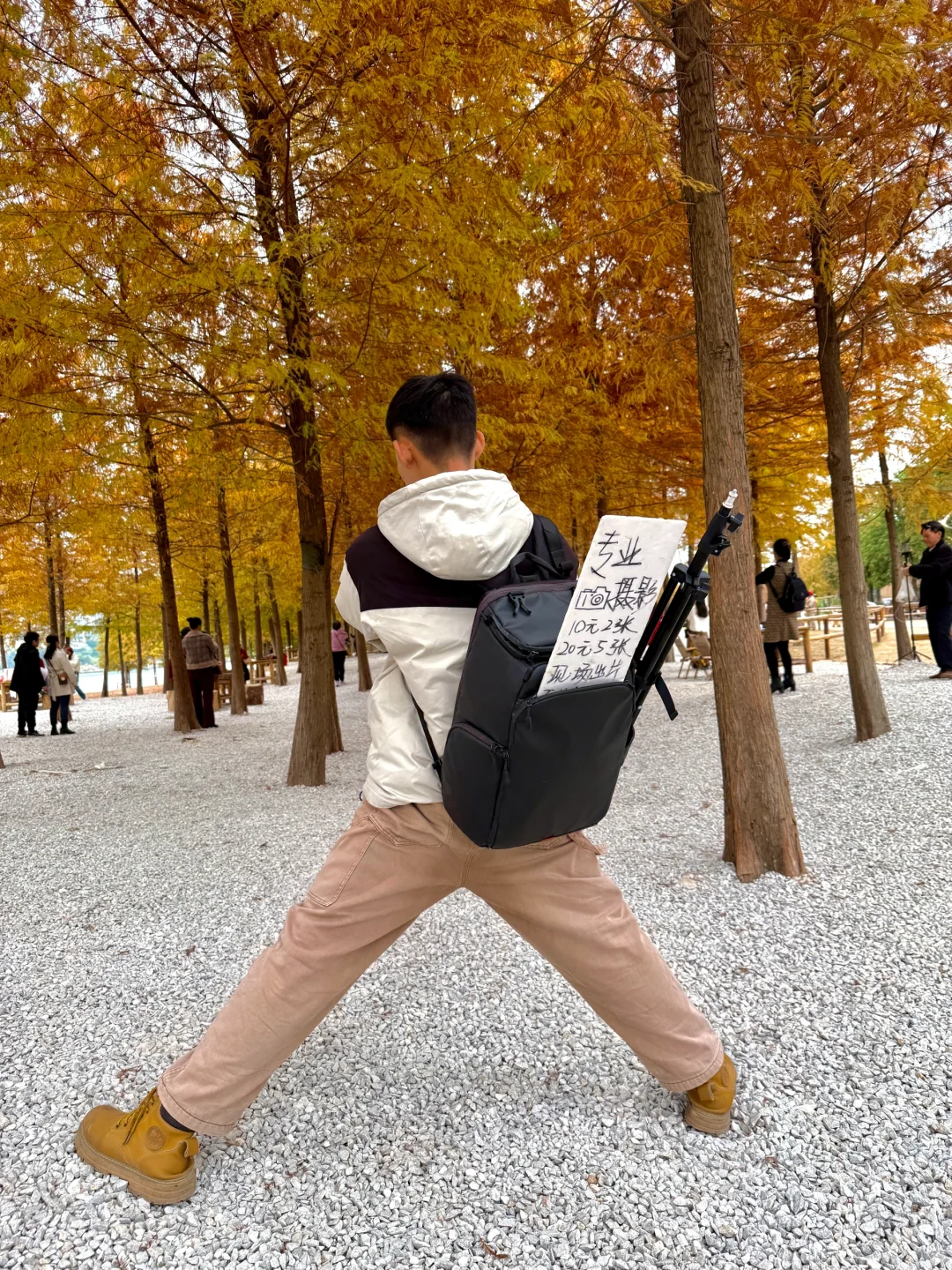 灵龟山落羽杉摄影摆摊！12.17实况！