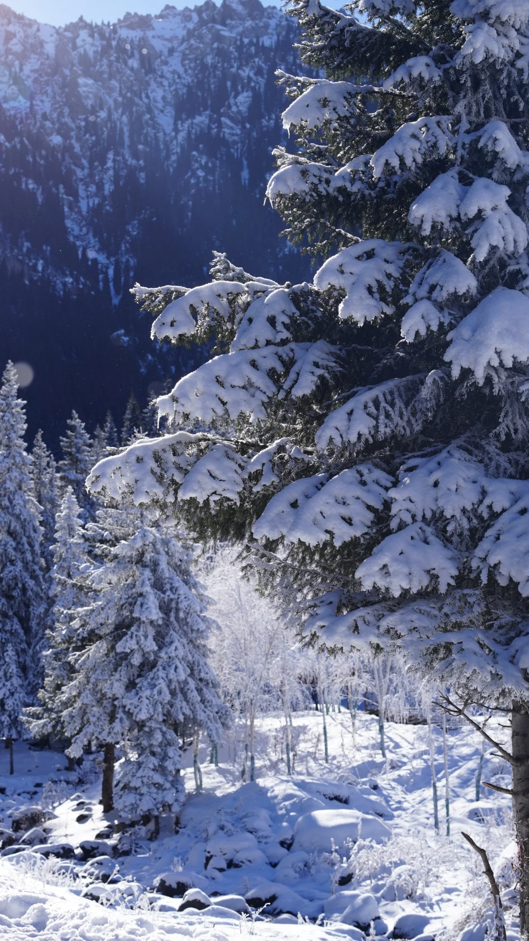 乌市周边游|1h车程的庙尔沟绝美蓝冰瀑布!