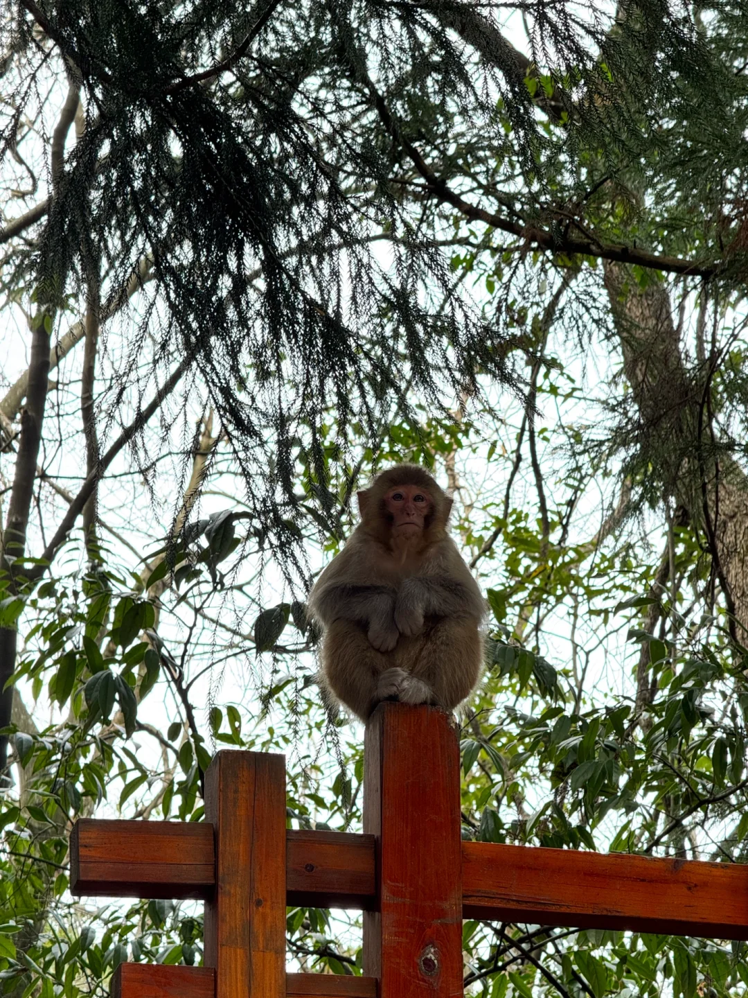 张家界怎么玩？教科书级别攻略