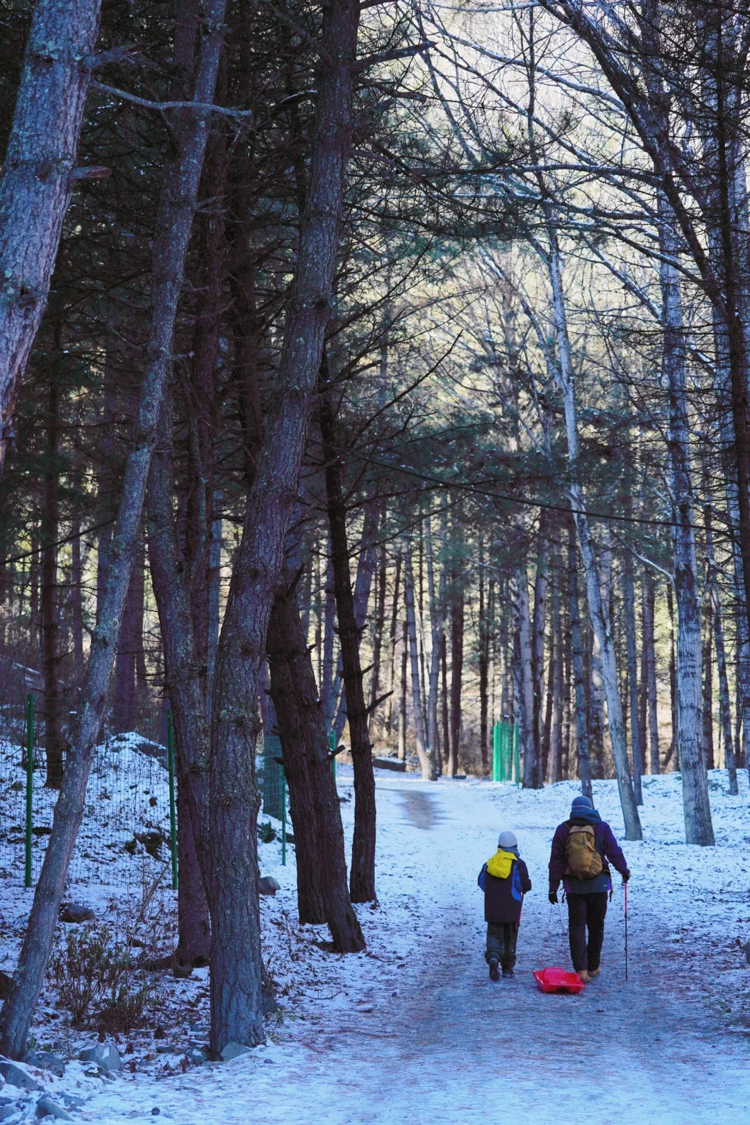 当日往返‼️成都周边🆓童话雪世界❄️附live图