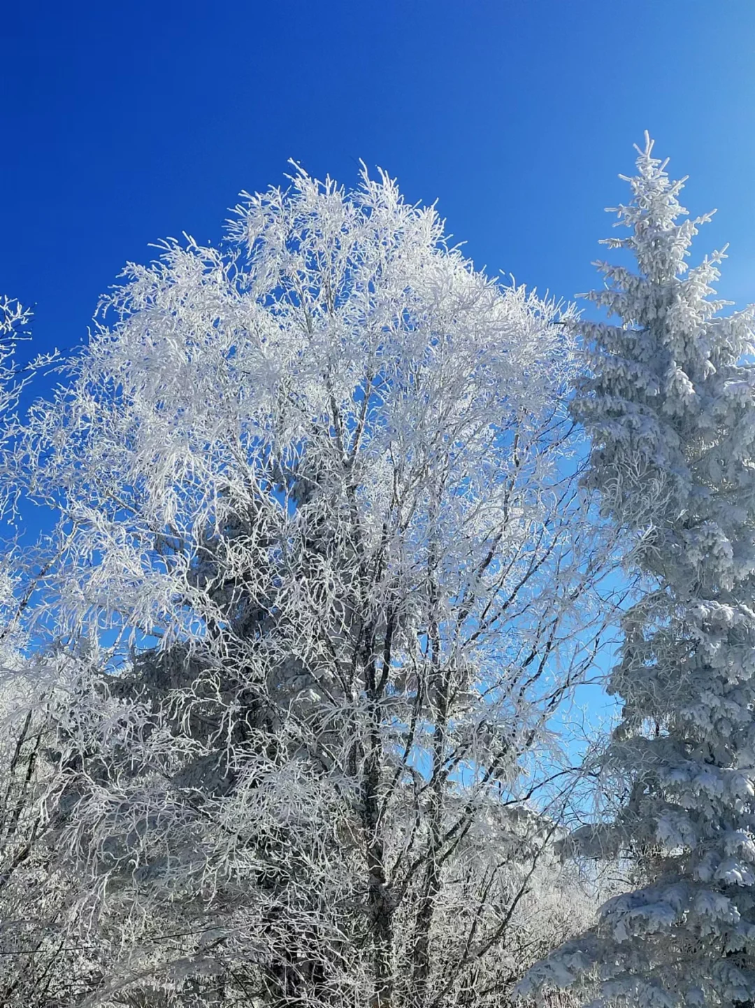 长白山，拼车，包车。