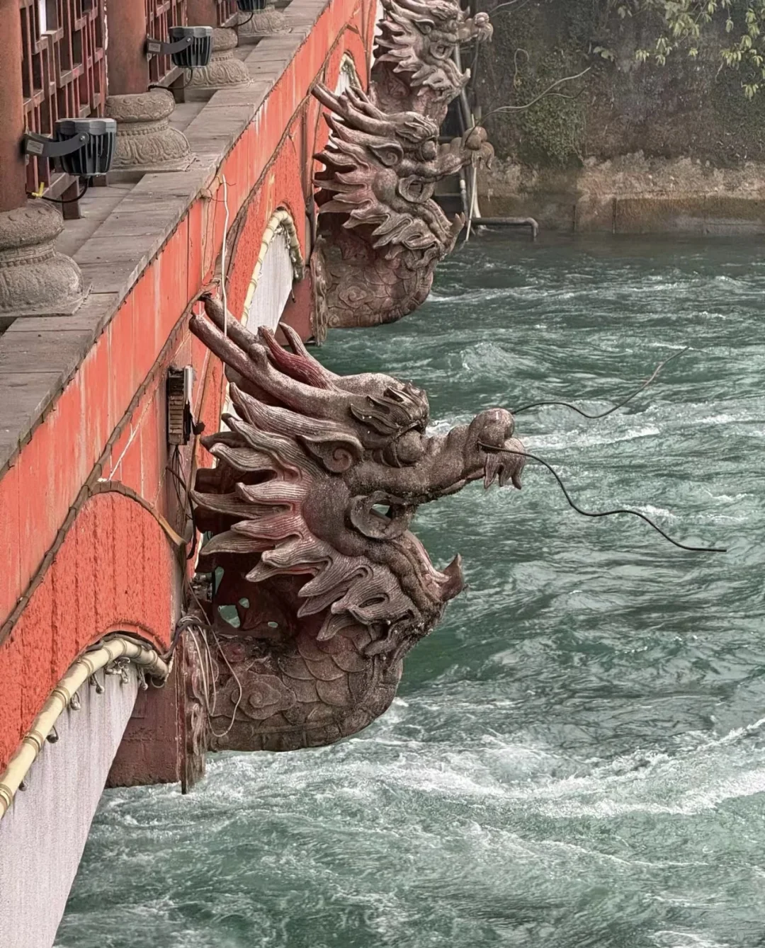 听劝❗️千万别直接去都江堰和熊猫谷