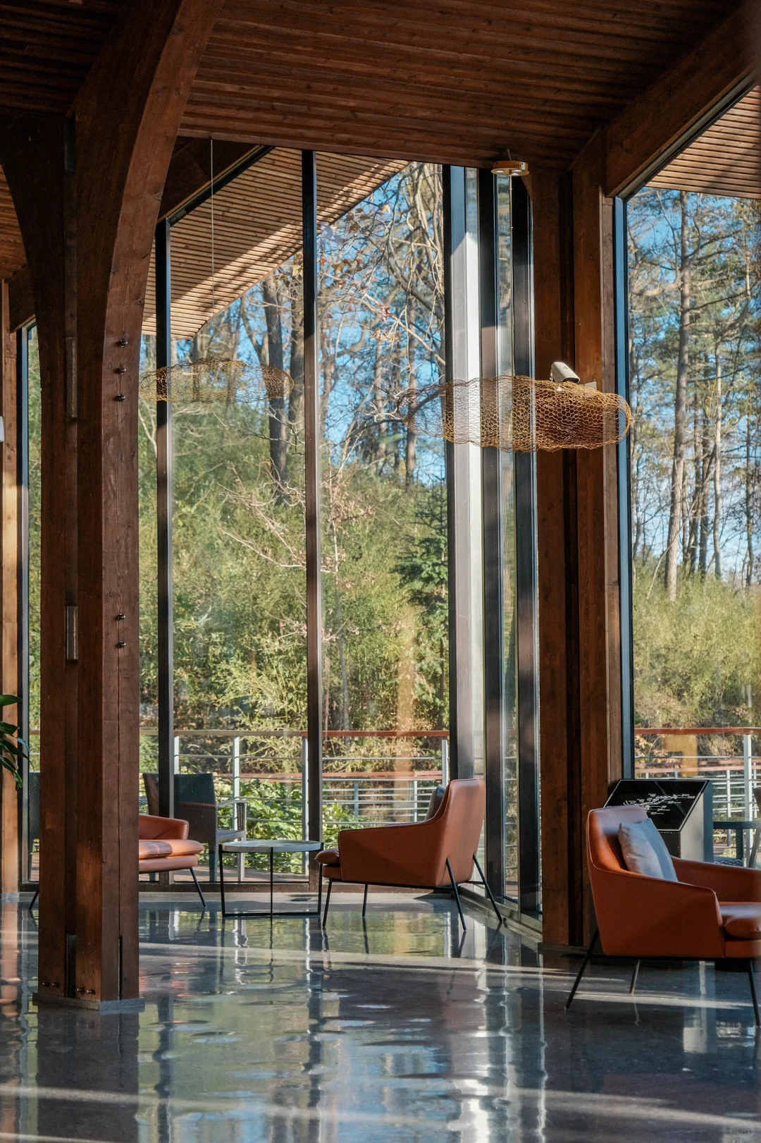 宁波，自然谧境，心归森野✧*｡🌳🌳🌳