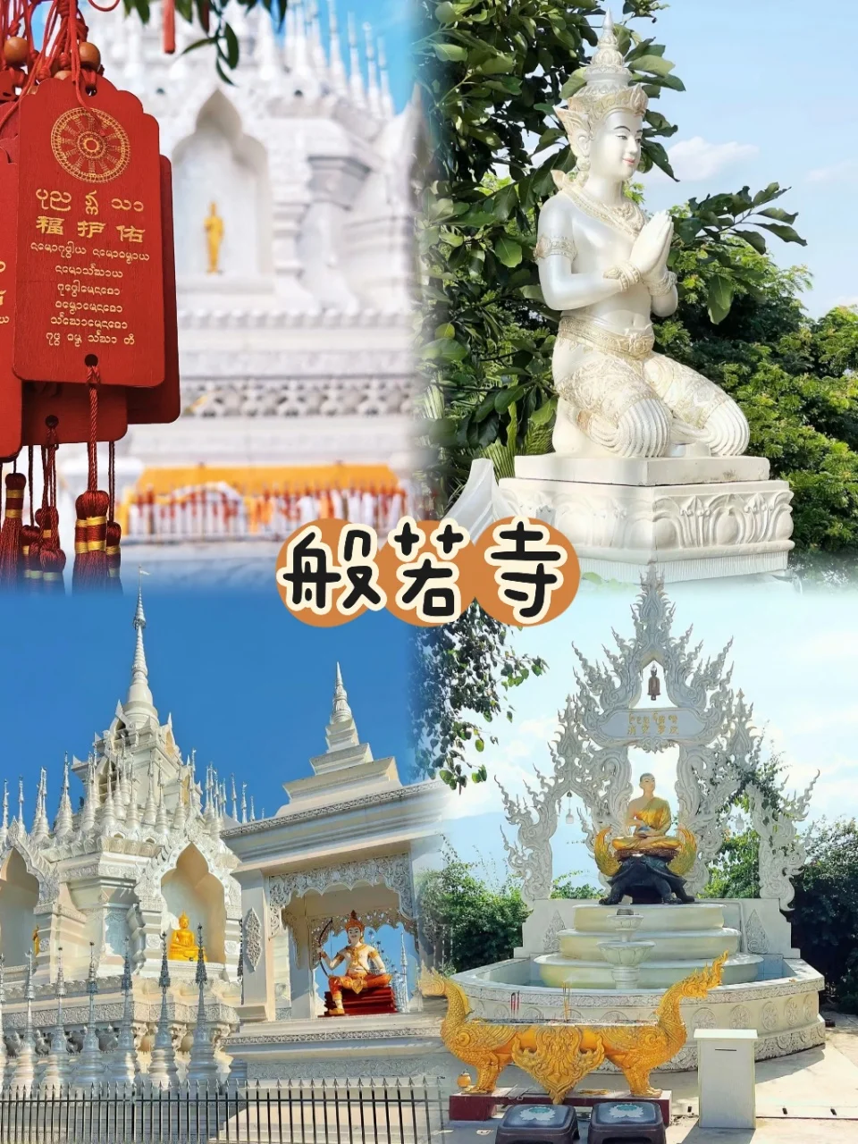 西双版纳5日游懒人版路线‼️不走冤枉路