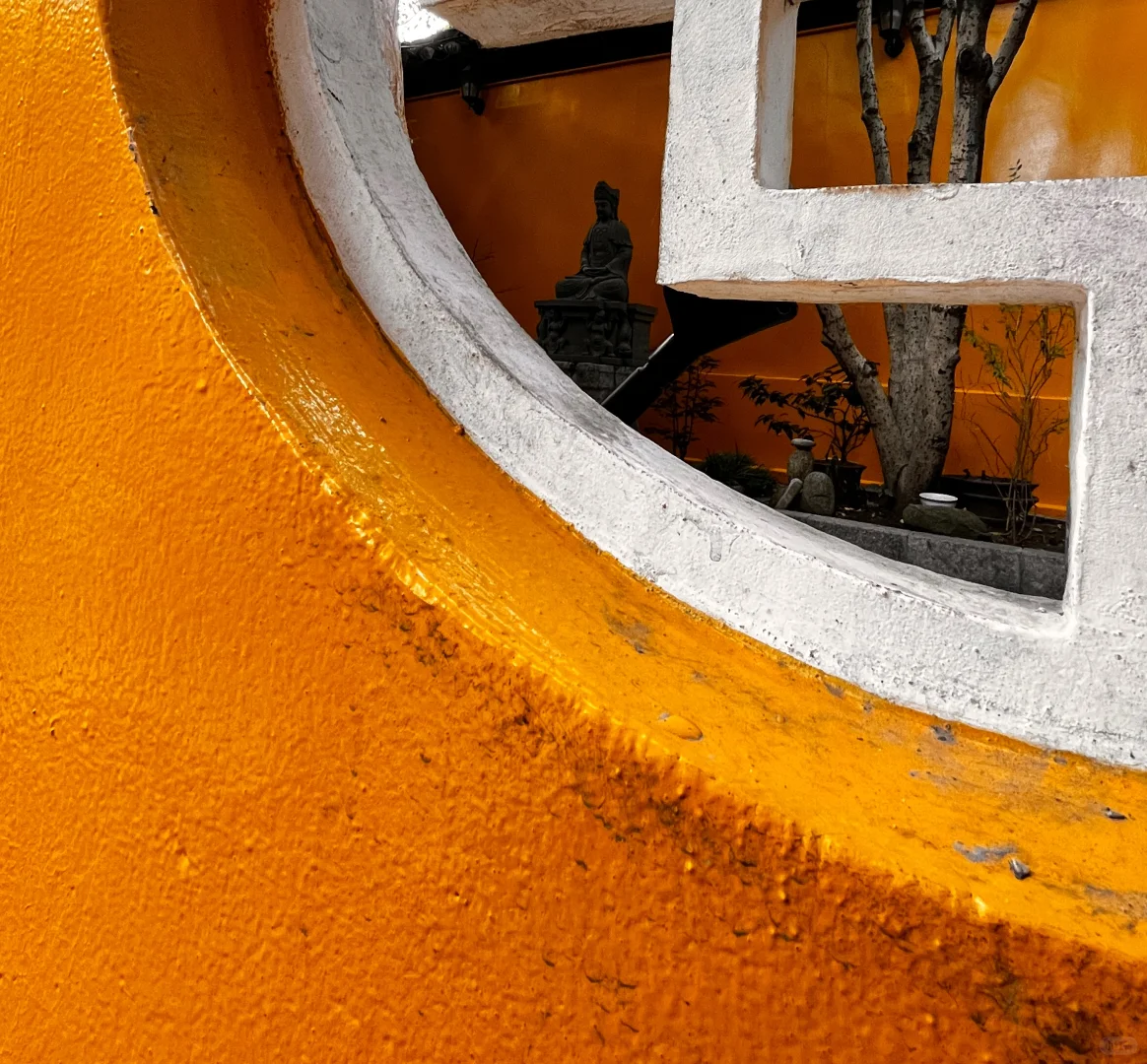 藏在雨花台景区里无人知晓的超绝机位!