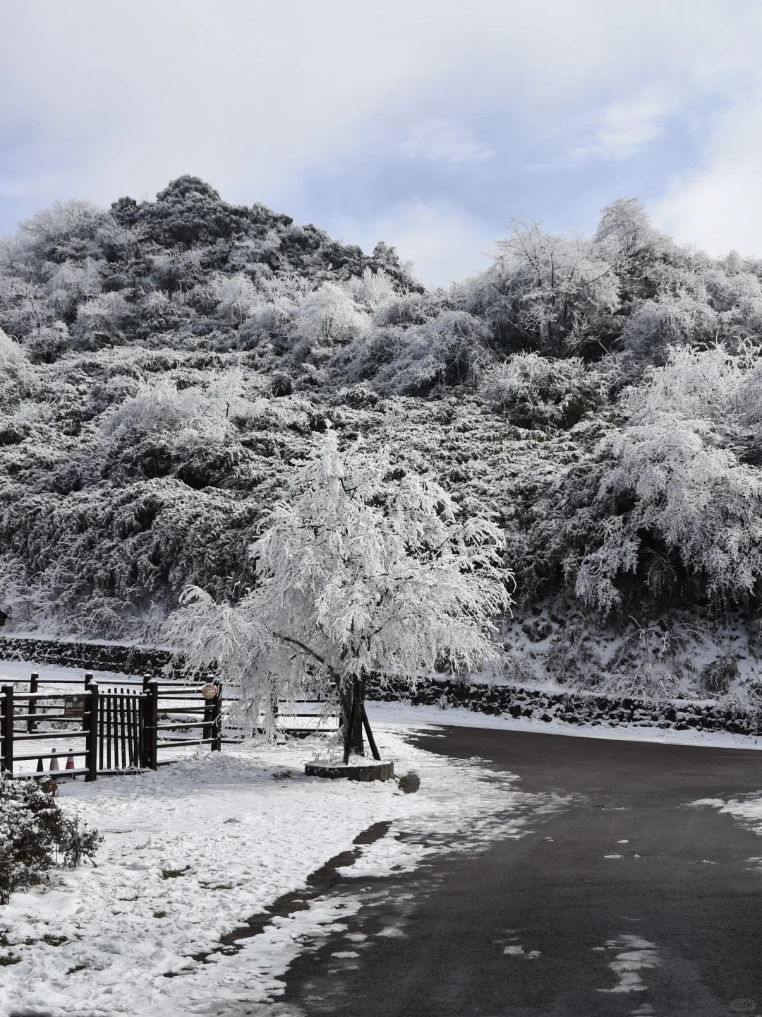 南天湖❄️哪里人少景美出片?(附攻略)