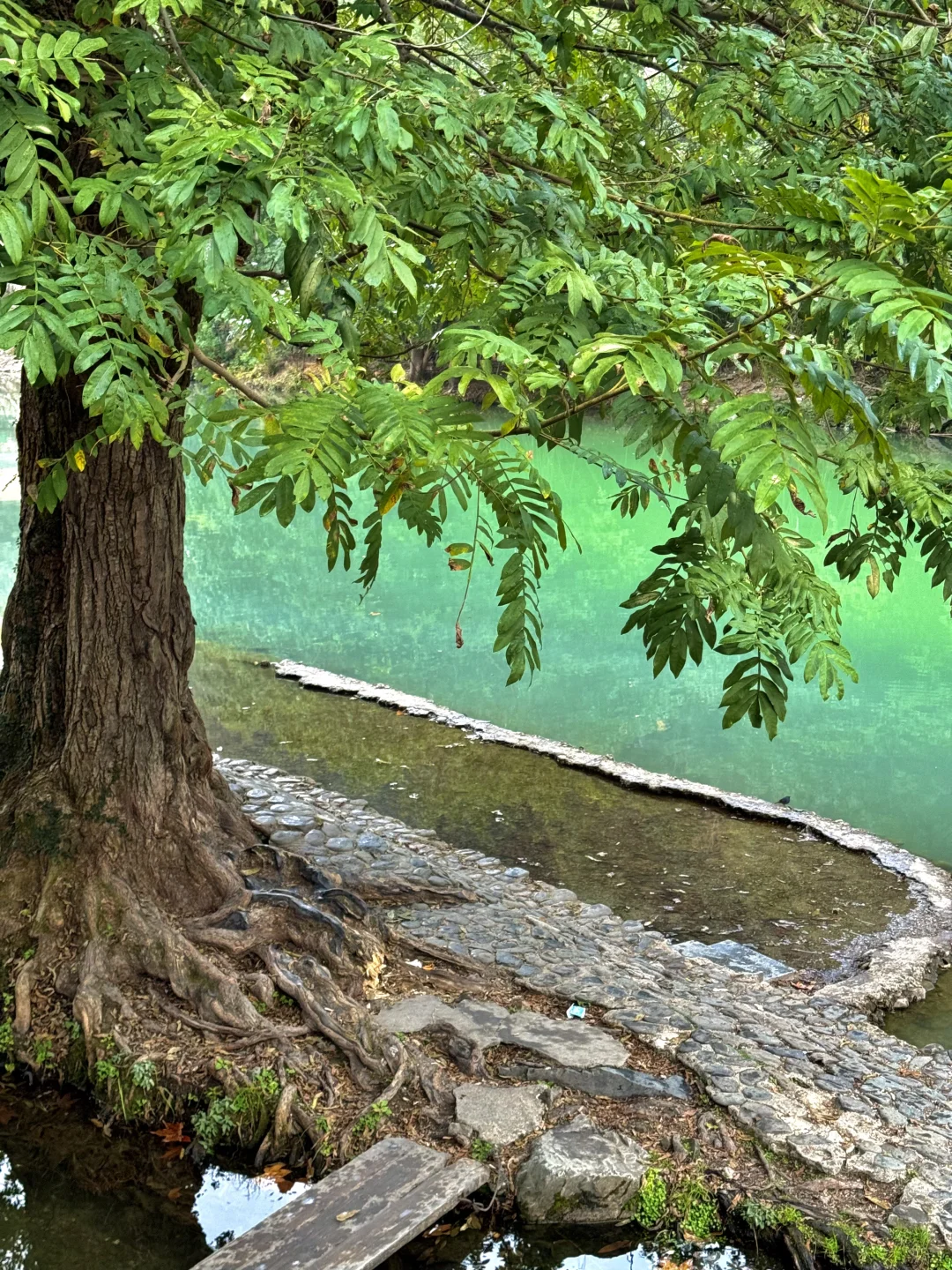 景德镇已回！！真诚建议要去的姐妹……