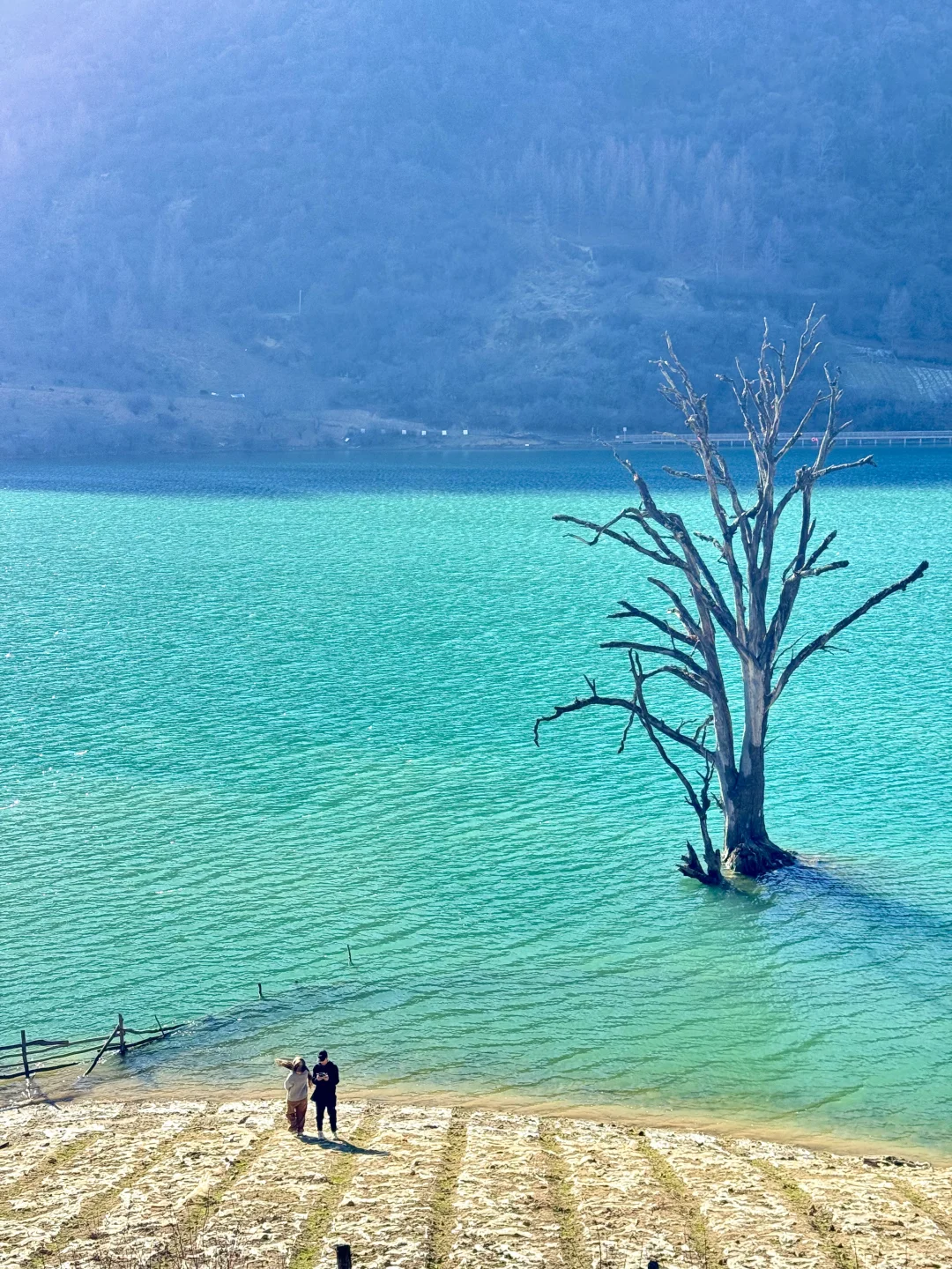 新路线‼️西安2天1夜🏔️北欧雪山森林度周末！