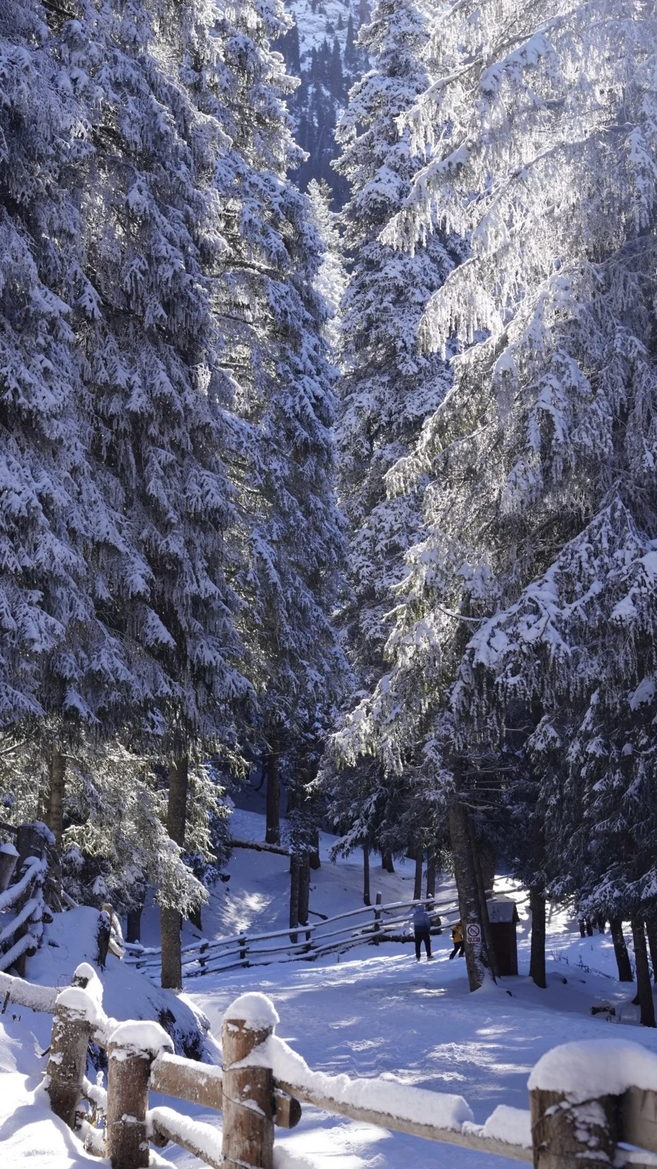 乌市周边游|1h车程的庙尔沟绝美蓝冰瀑布!