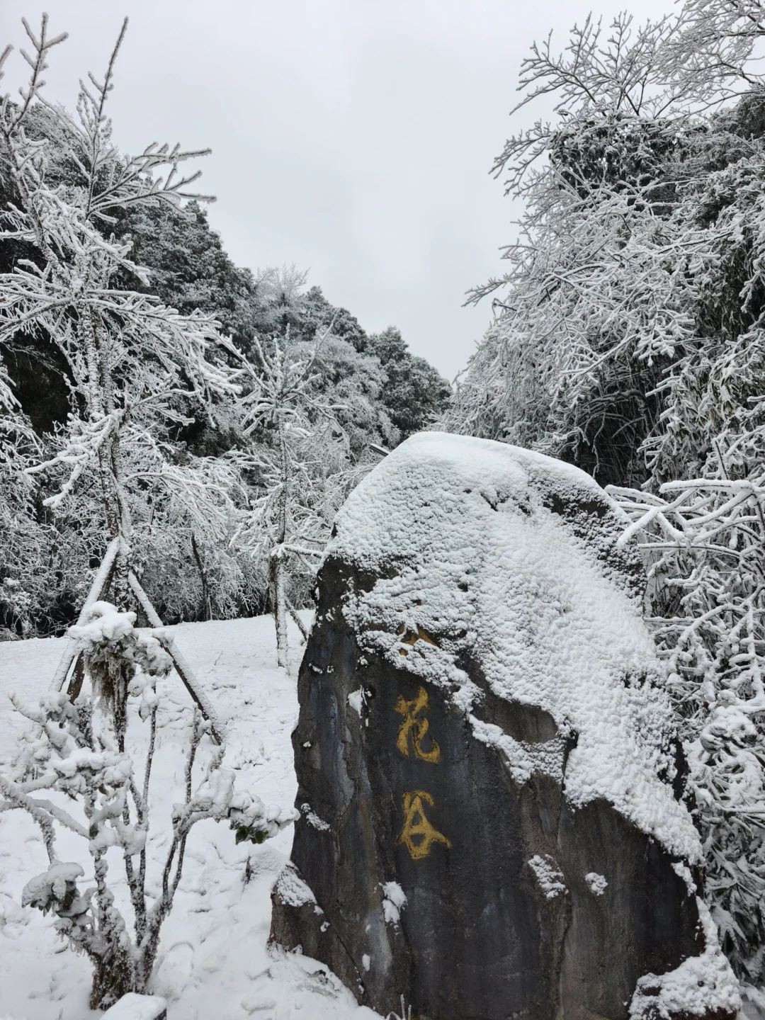 南天湖❄️哪里人少景美出片?(附攻略)