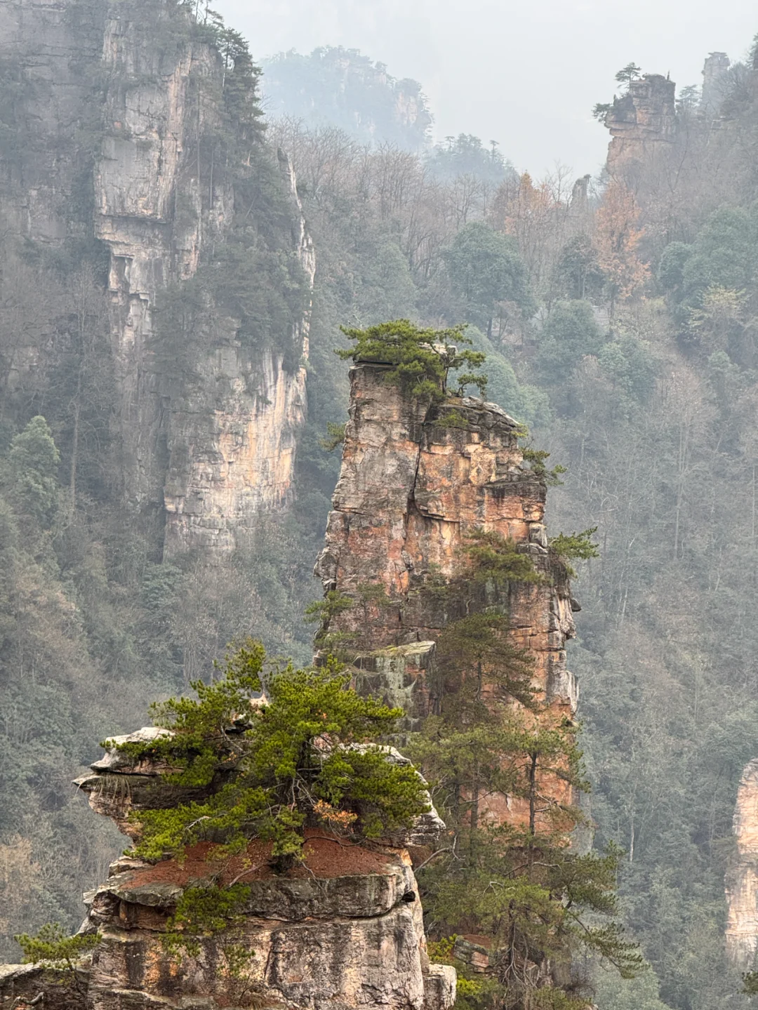 张家界怎么玩？教科书级别攻略
