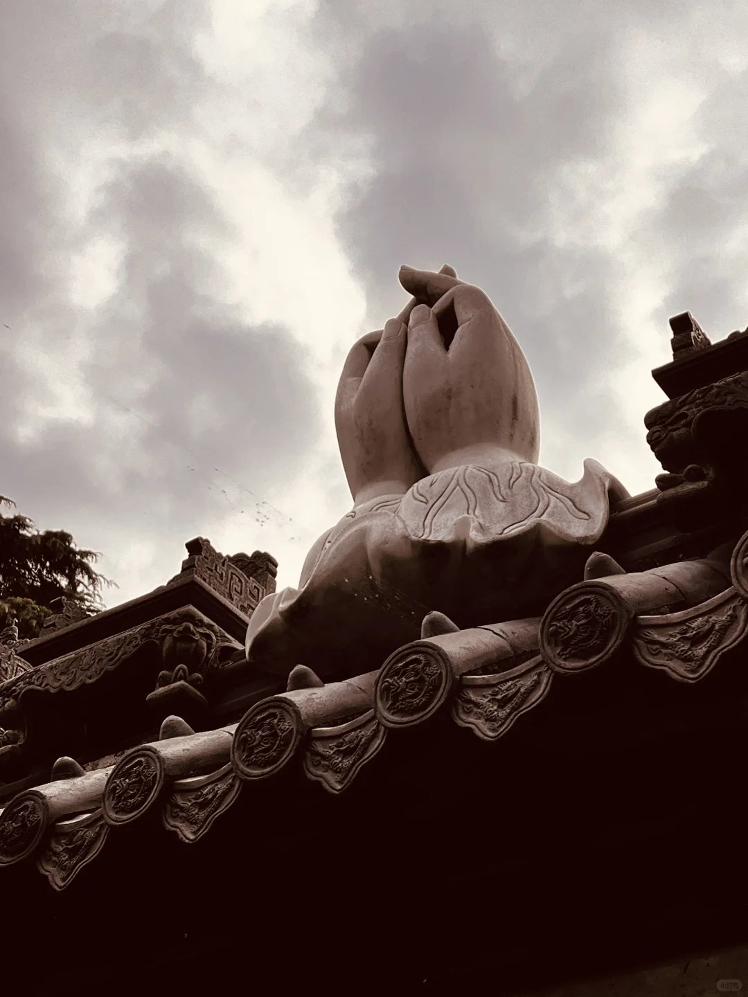 藏在雨花台景区里无人知晓的超绝机位!