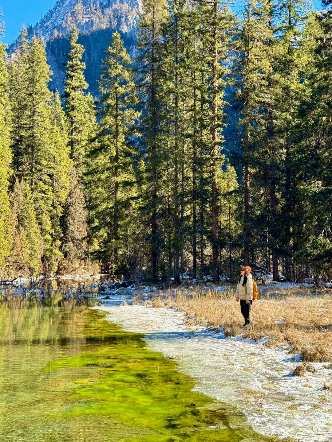 新路线‼️西安2天1夜🏔️北欧雪山森林度周末！