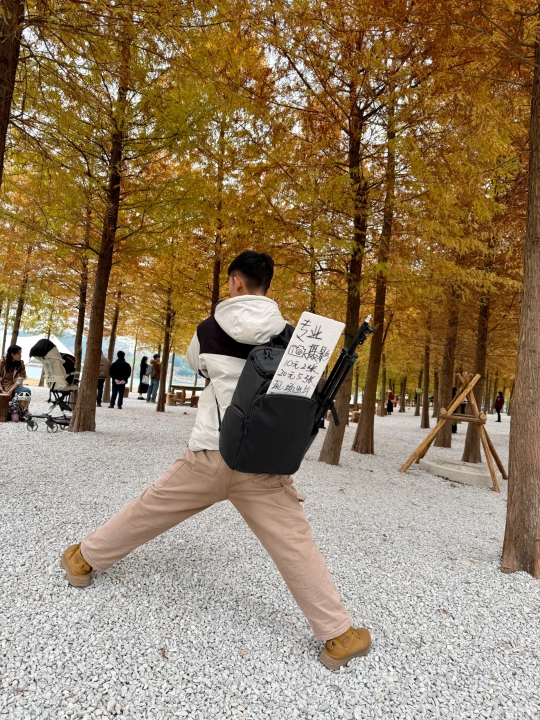 灵龟山落羽杉摄影摆摊！12.17实况！